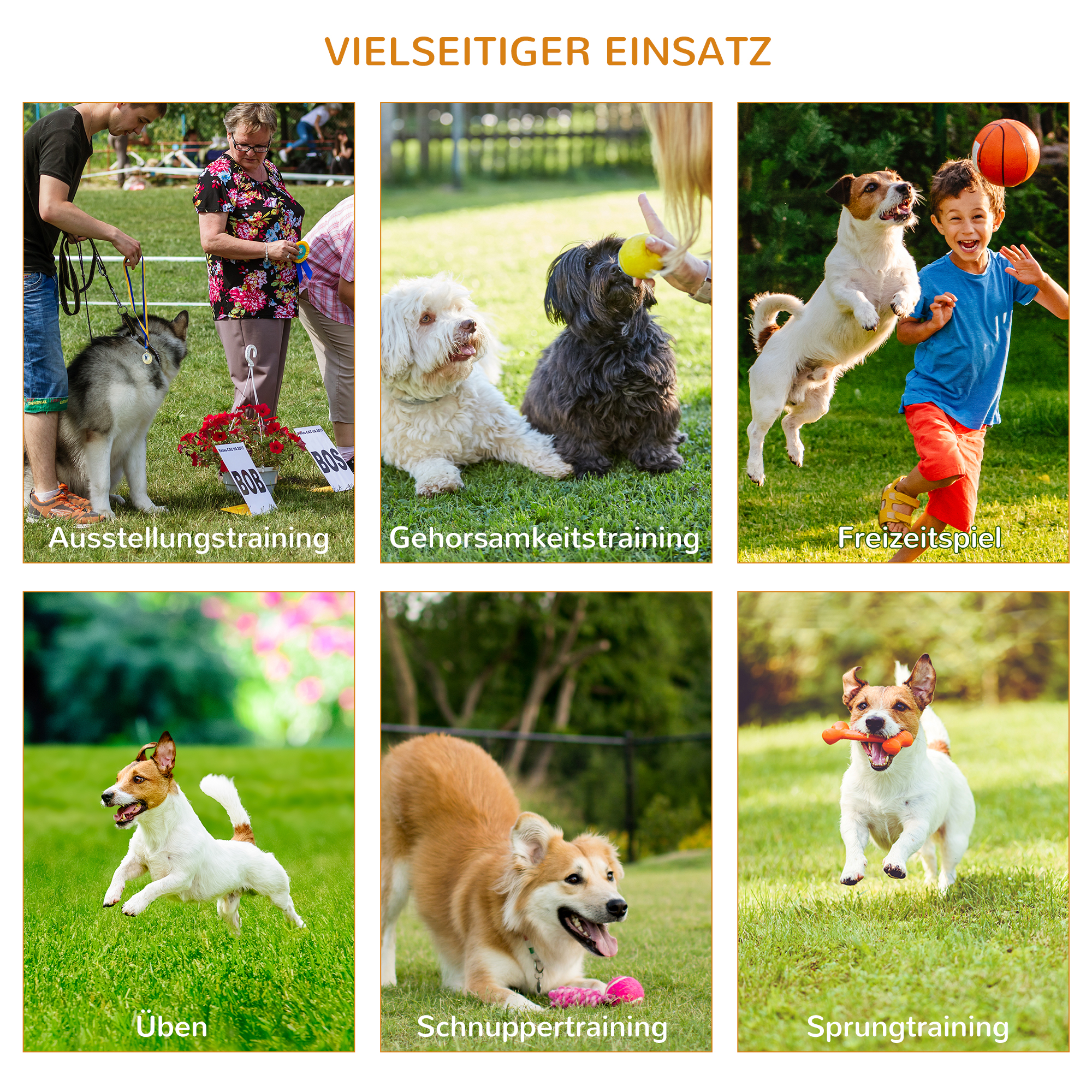 Hunde Agility-Set mit 4 Hindernissen Rot+Gelb