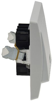 DELPHI Taster mit Namensschild / 0-250V~/ 10A, inkl. Rahmen, UP, weiß
