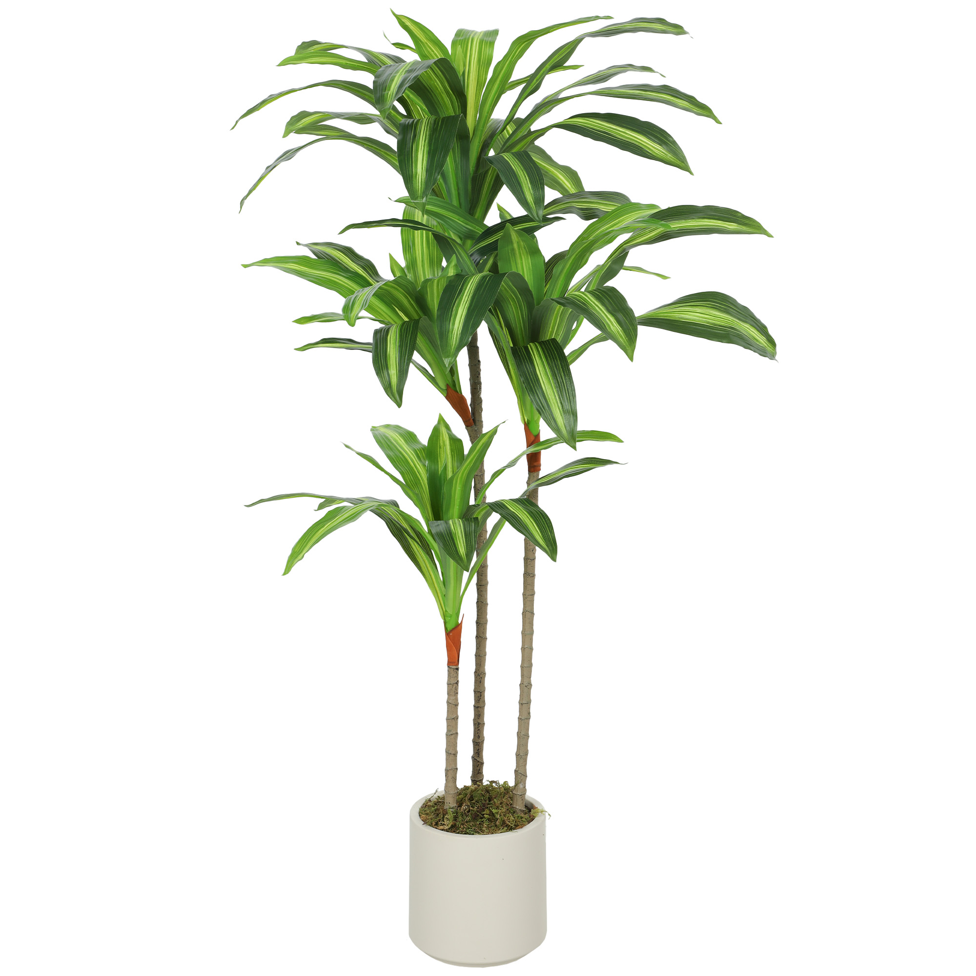 Künstlicher Dracaena-Baum 120 cm mit biegsamen Stämmen und weißem Pflanzgefäß für Wohnzimmer Schlafzimmer Büro