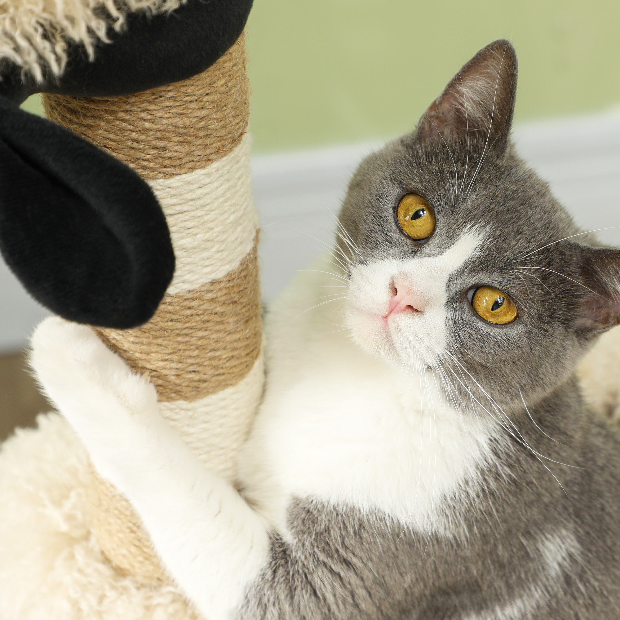 Katzenbaum im Schaf-Design, mit Kratzpfosten, Tunnel und Spielzeug, 98 cm, Hellbraun