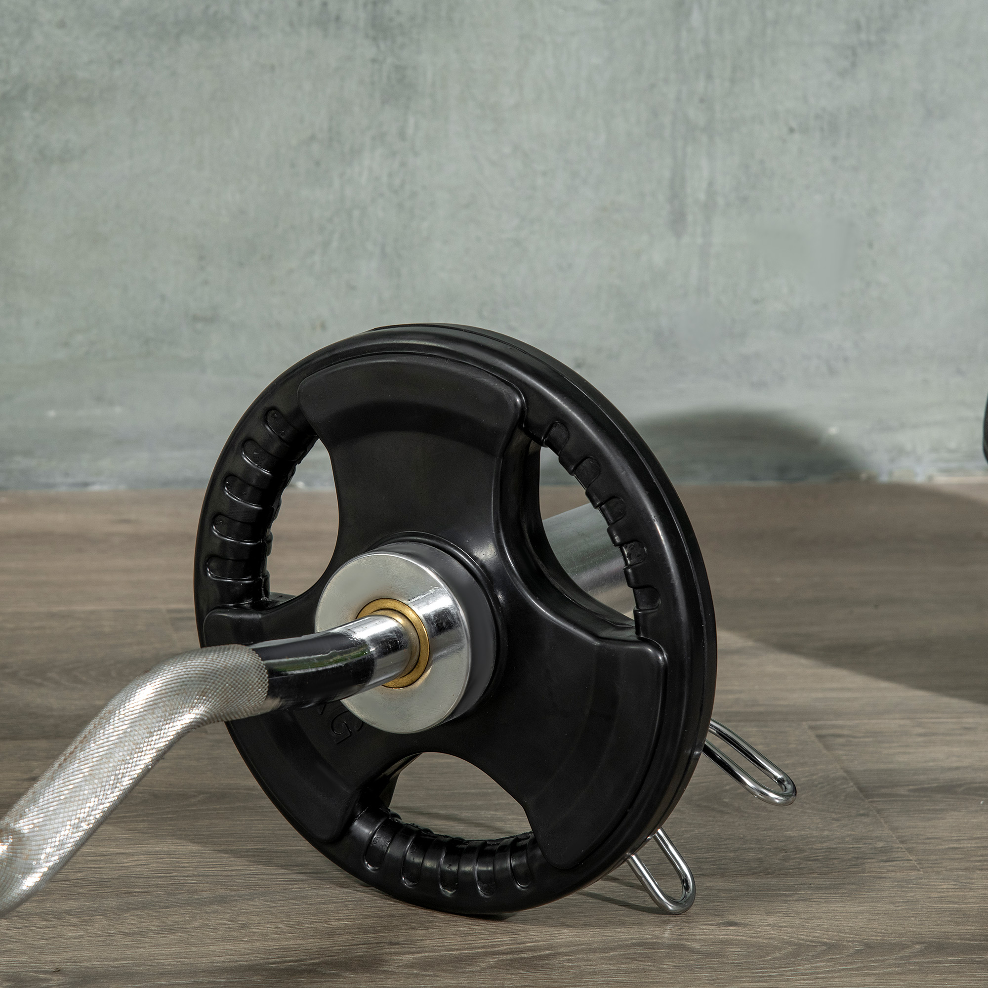 Hantelscheibe, 2er-Set, 10 kg pro Scheibe, drei Griffe, bodenschonender Gummimantel, Metall