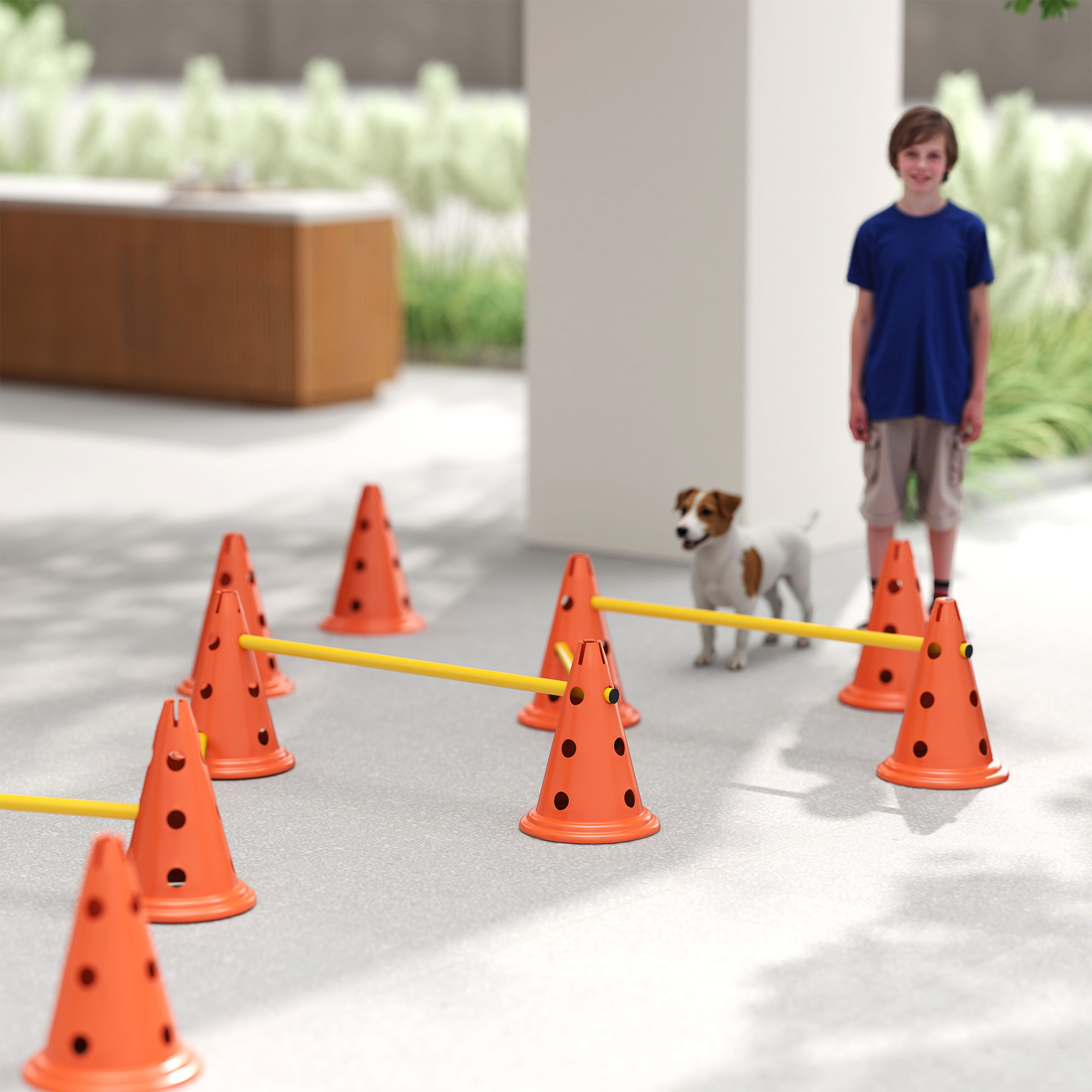 Agility Set Hunde 6-teiliges Agility-Ausrüstung für Hundetraining Steckhürdenset mit 12 Kegel 6 Hürden Tragetasche