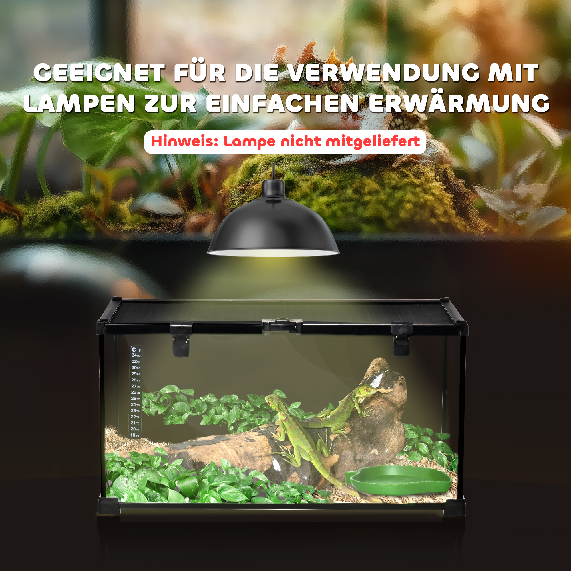 Reptilienbox Terrarium, inkl, Streifenthermometer, Fütterungsklappen, 50 cm x 30 cm x 25 cm, Glas + Metall, Schwarz