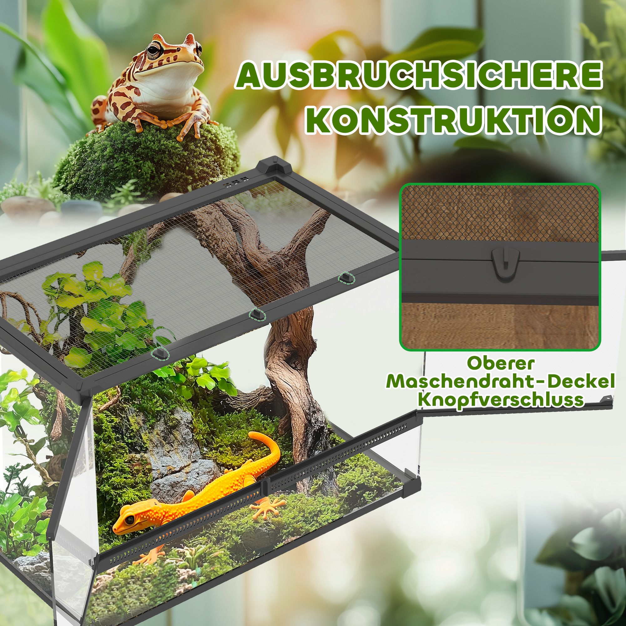Glas-Terrarium für Reptilien, erhöhter & wasserdichter Boden, Knopfschloss