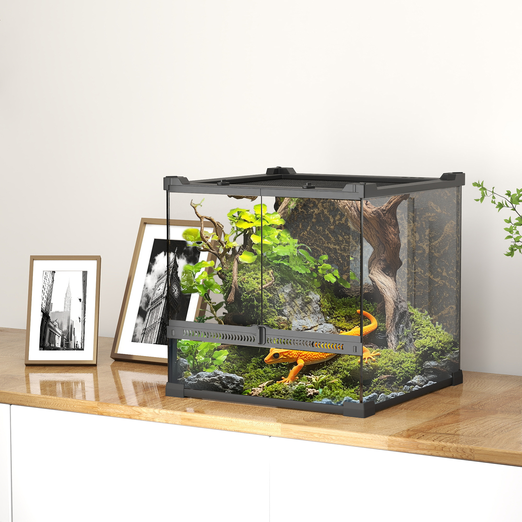 Glas-Terrarium für Reptilien, erhöhter & wasserdichter Boden, Knopfschloss