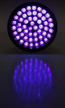 LED-Taschenlampe mit 51 UV LEDs / Schwarzlicht, ØxL 55x145mm