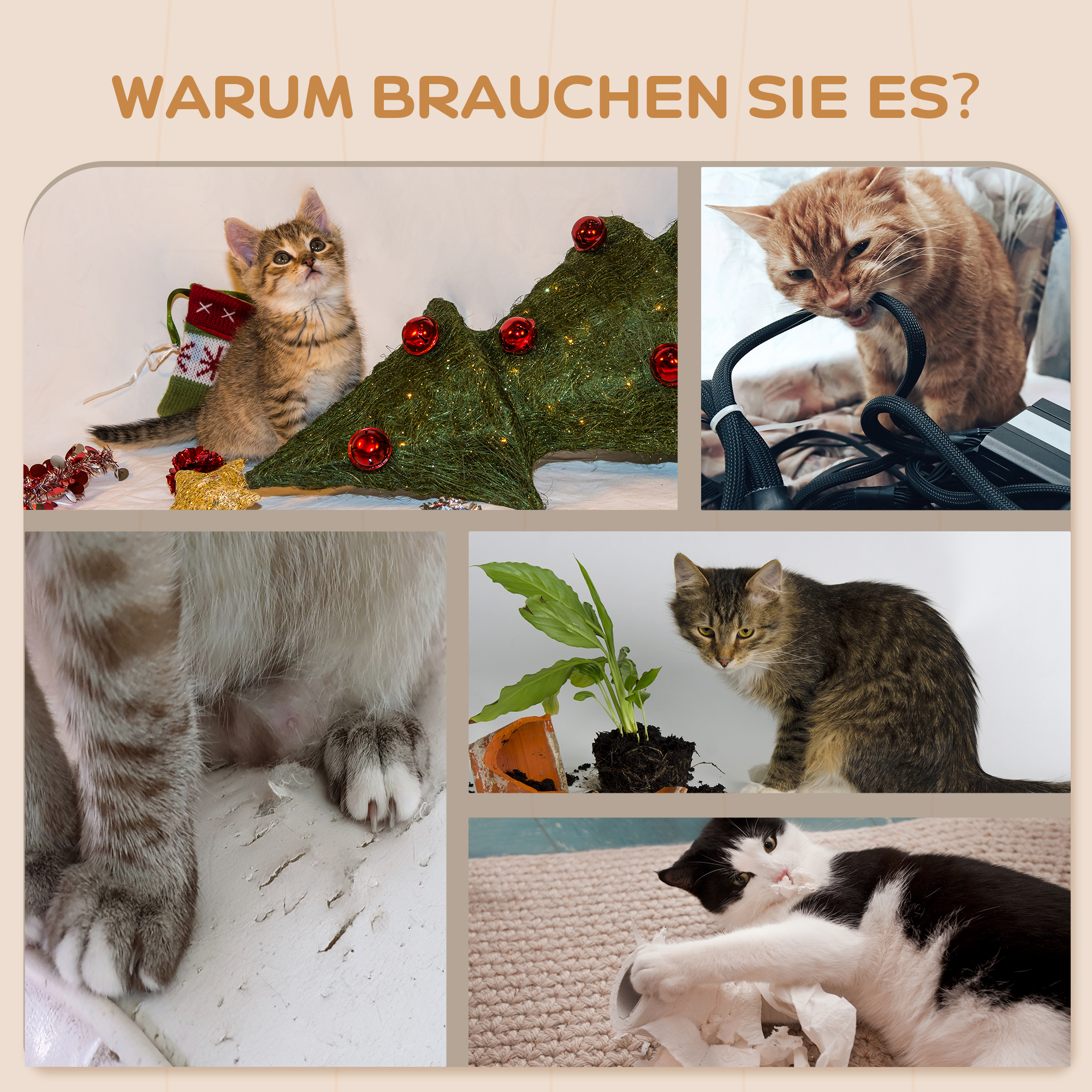5-teiliges Katzen-Kletterset mit Kratzpfosten, Sprungplattformen, Leiter, Haus, Wandmontage, Beige