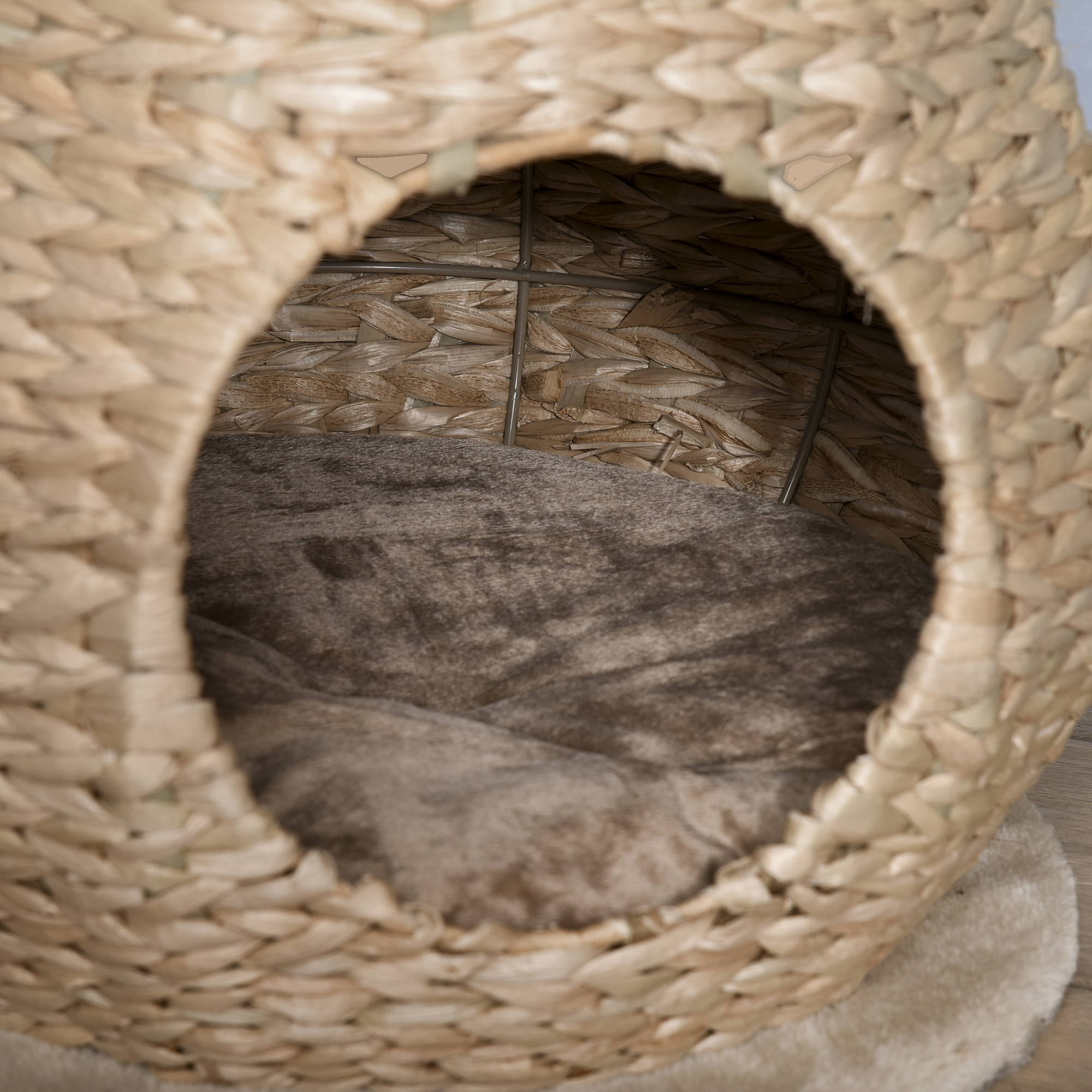 Katzenbaum Kratzbaum Kätzchen Möbel mit Katzenhöhle Ballspielzeug Sisal weiche Plüsch Höhe 82,5 cm Gelb