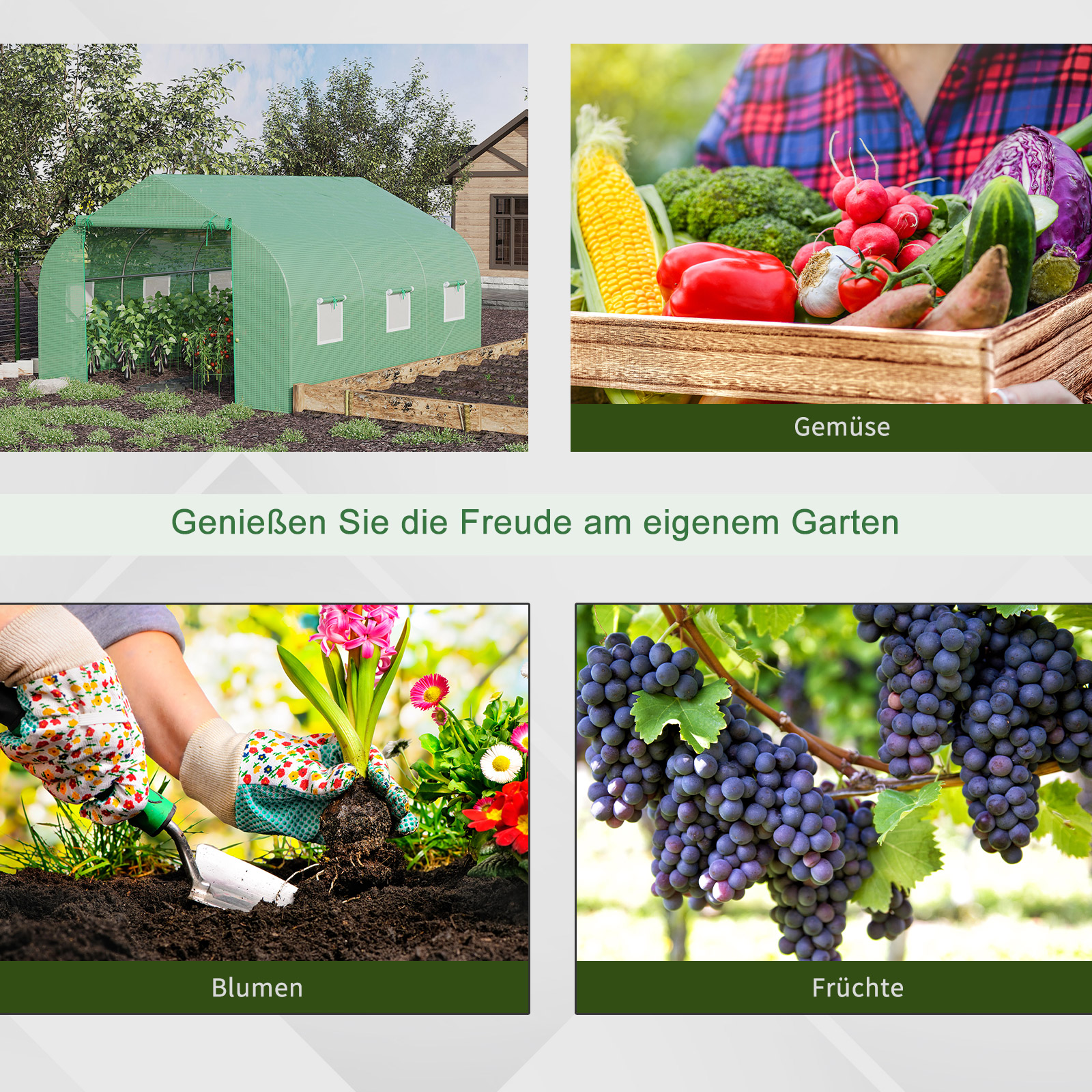 Folien Gewächshaus Foliengewächshaus Treibhaus Frühbeet Pflanzenhaus Tomatenhaus Giebeldach  350L × 300B × 200H cm