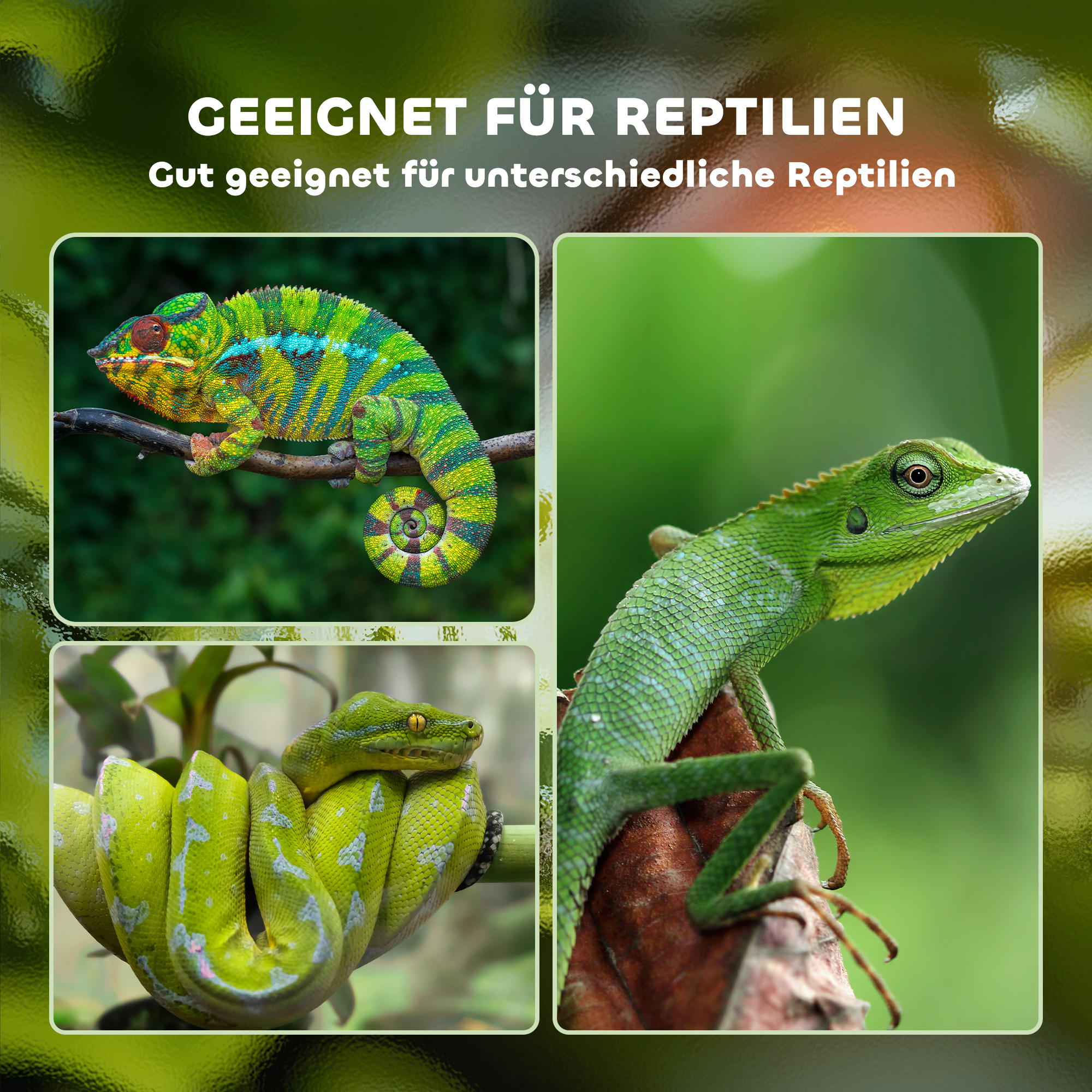 Terrarium aus Aluminium für Reptilien Amphibien Spinnentiere Reptilienzuchtbox Mesh-Terrarium Weiß+Silber+Schwarz 120 x 40 x 40 cm