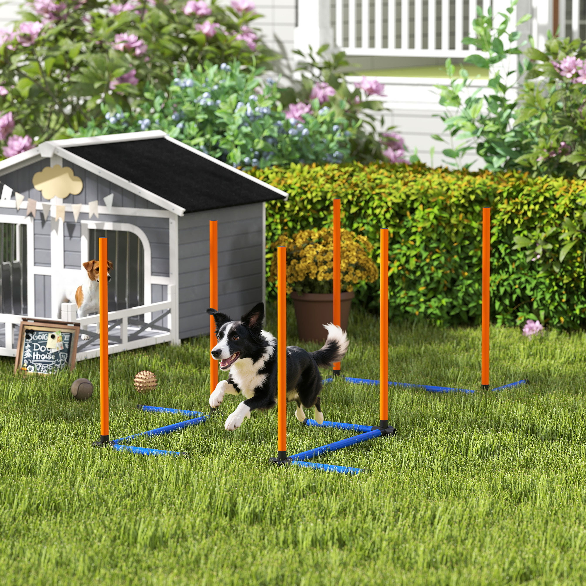 Agility Set Hunde 3-teiliges Agility Ausrüstung mit Slalomstangen Tragetasche Trainingsset für alle Hundegrößen Orange