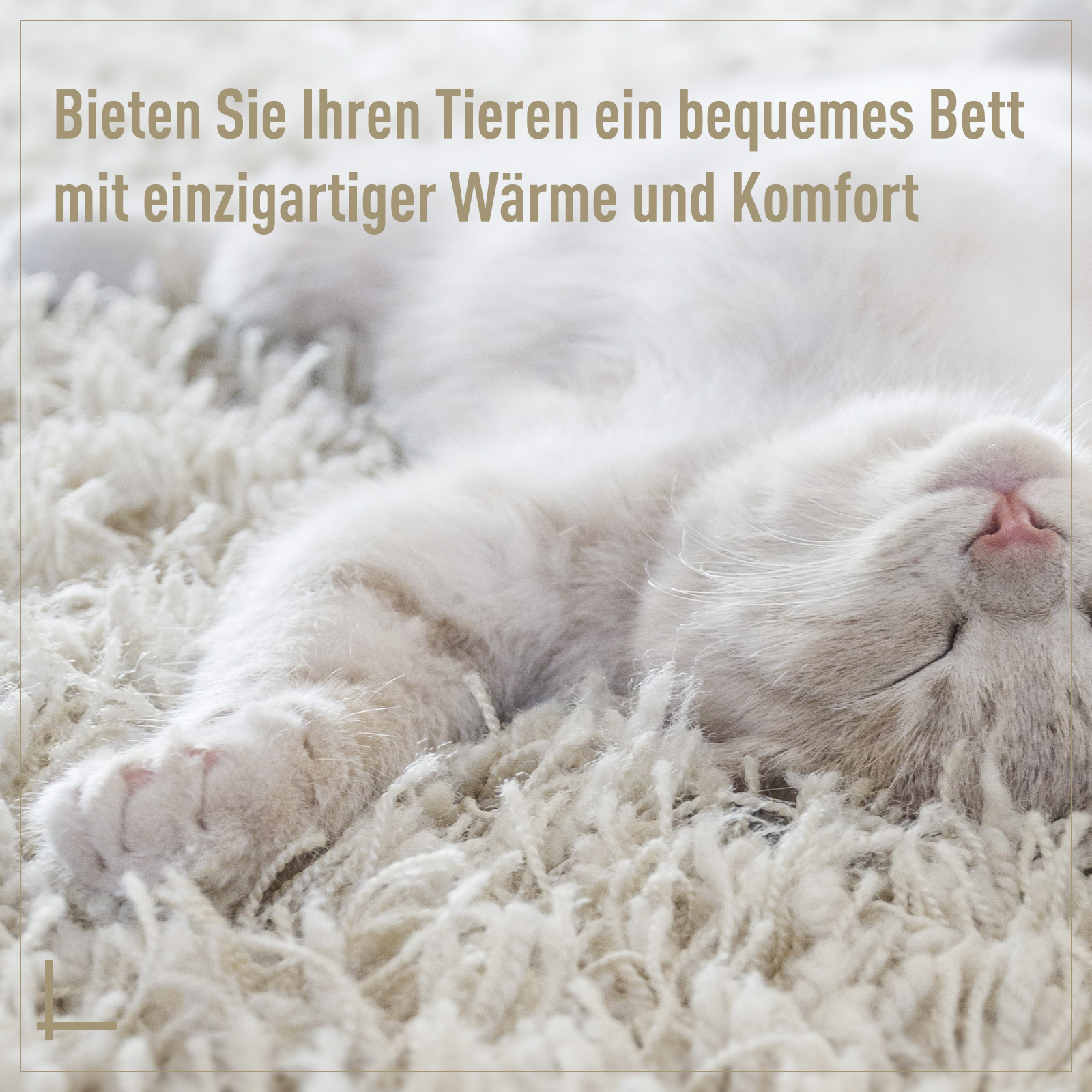 Katzenbett aus Rattan Katzenhöhle mit Kissen Katzenkorb Hundebett Katzenschlafplatz Hundehütte Tierbett für Katzen Hunde Beige Ø56 x 35 cm