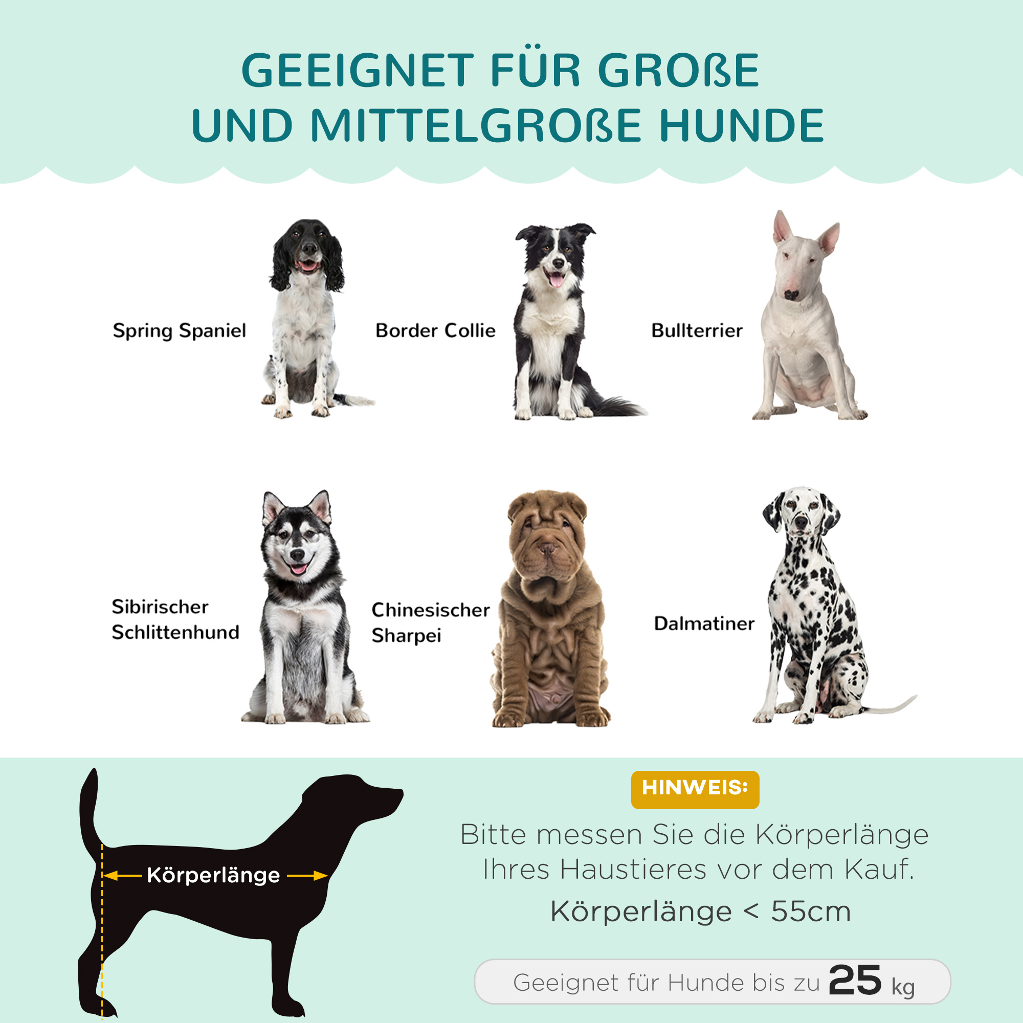 Haustiersofa für mittelgroße und große Hunde bis 25 kg, robustes Holz, gepolstert, Grün