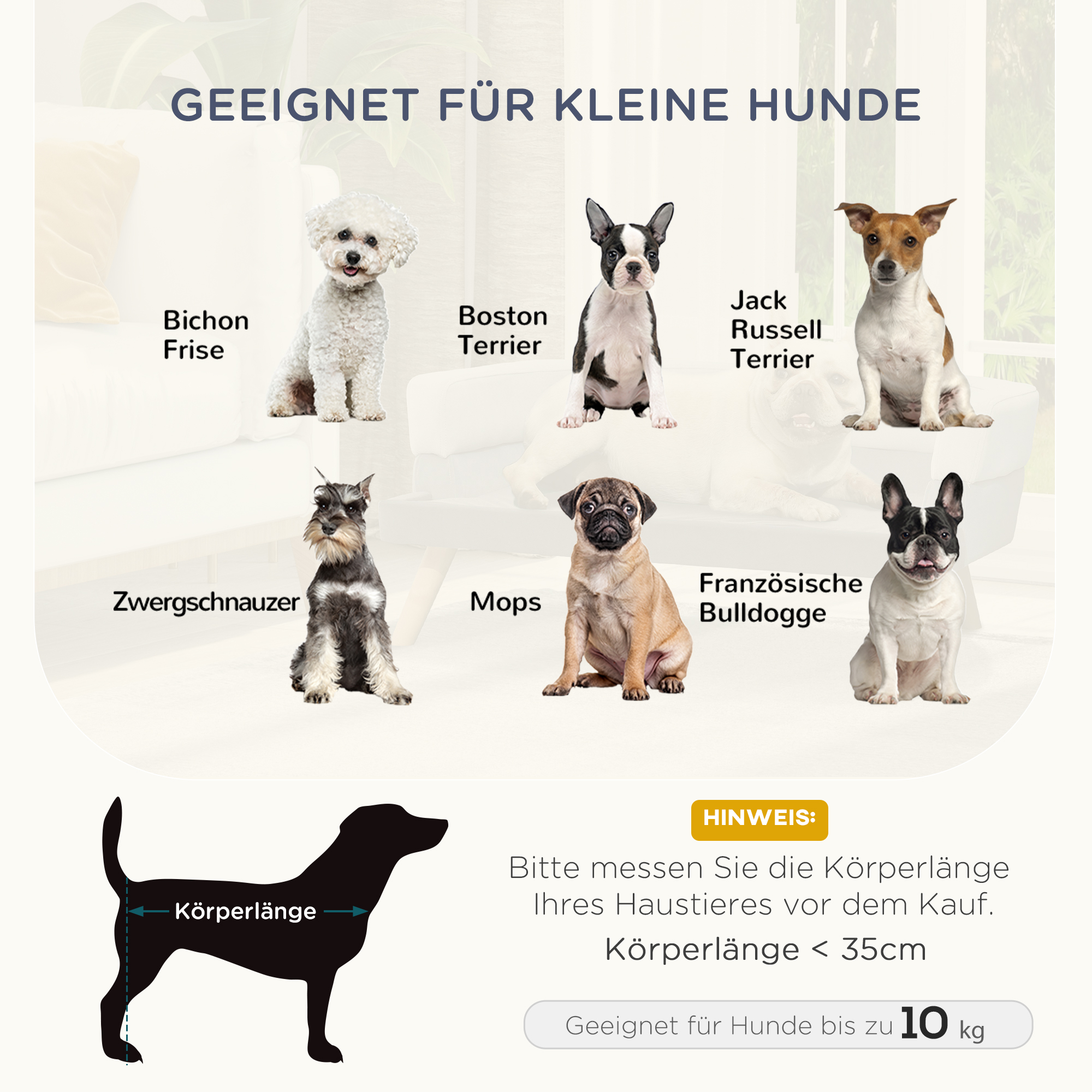 Haustiersofa Hundesofa Hundebett mit Holländischer Samt Schaumstoff Birke Bein für Katzen Hunde  86 x 55 x 33 cm Hellgrau