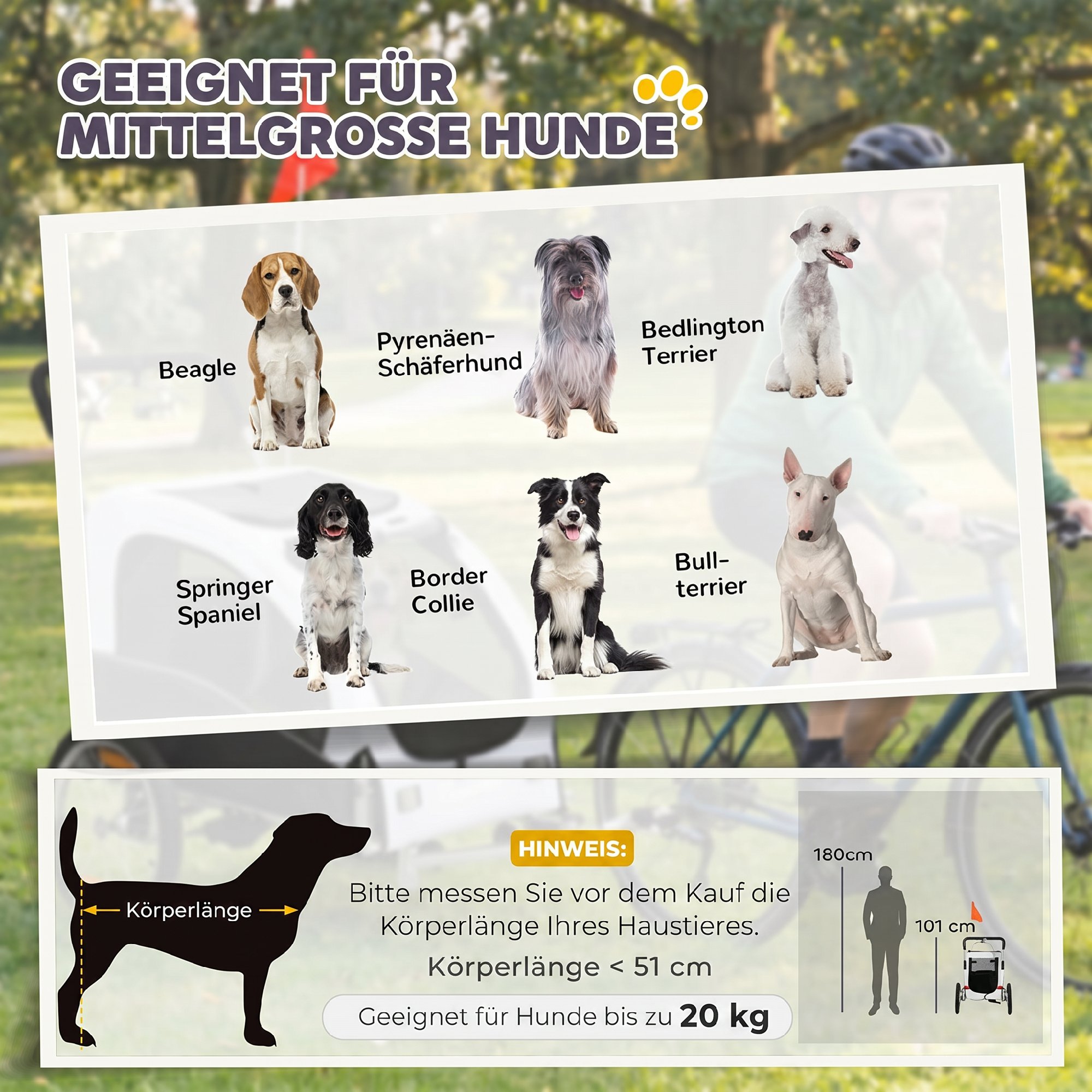 2-in-1 Hundeanhänger für Fahrrad Faltbarer Hundebuggy für kleine & mittelgroße Hunde bis 20 kg, Weiß