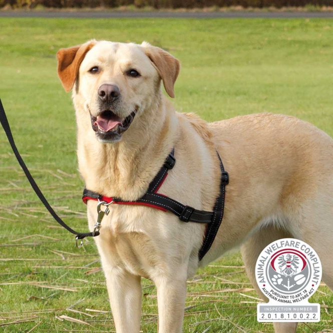 Trixie Trainingsgeschirr Lead'n'Walk Soft - L-XL Trixie Trainingsgeschirr Lead'n'Walk Soft - XS-S