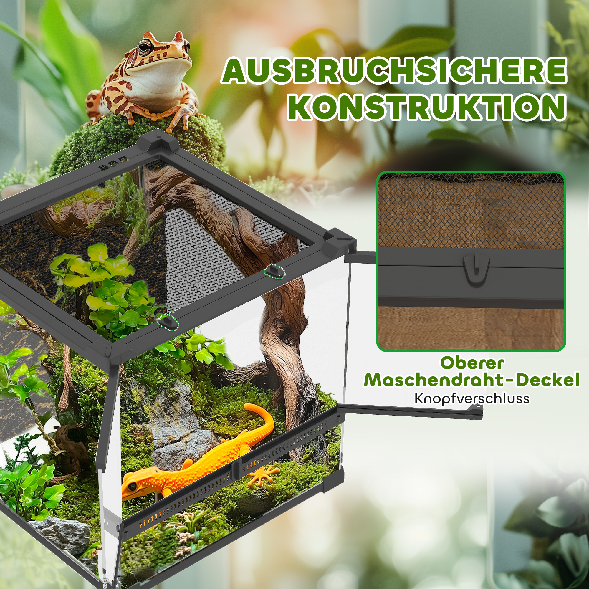 Glas-Terrarium für Reptilien, erhöhter & wasserdichter Boden, Knopfschloss