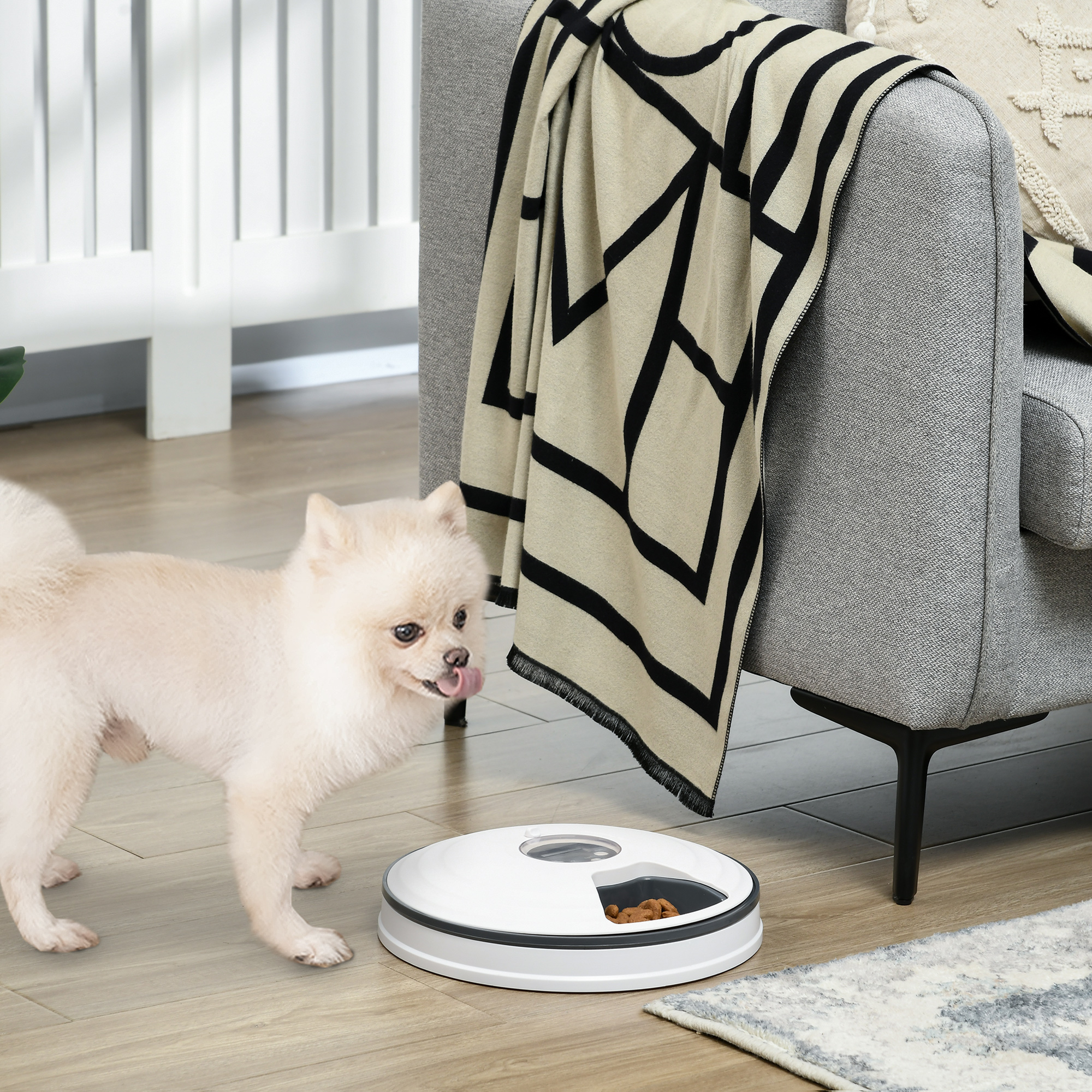 Futterautomat Katze Nassfutter Katzenfutter mit LED-Display, Programmierbarem Timer, 6 Futter-Fächer für je 70 g Trockenfutter 4 Mahlzeiten Automatischer Futterspender für Hunde Katzen