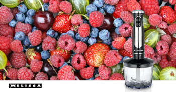 Stabmixer-Set | 600 W | 2 Geschwindigkeiten | Variable Geschwindigkeitseinstellung | Mini-Zerkleinerer | Schneebesen | Edelstahlschaft und -klingen | Edelstahl / schwarz