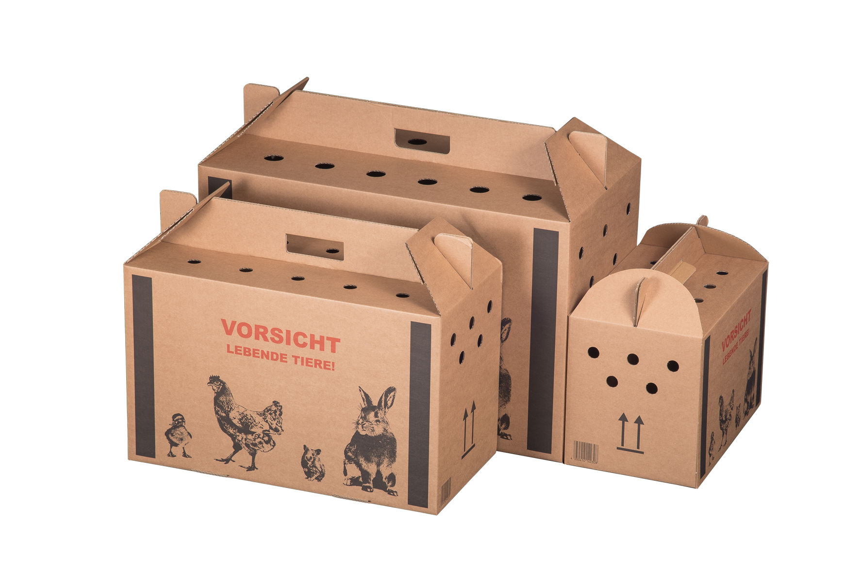 Transportkarton "lebende Tiere", 580x309x369mm, braun, 1-wellig, VPE10