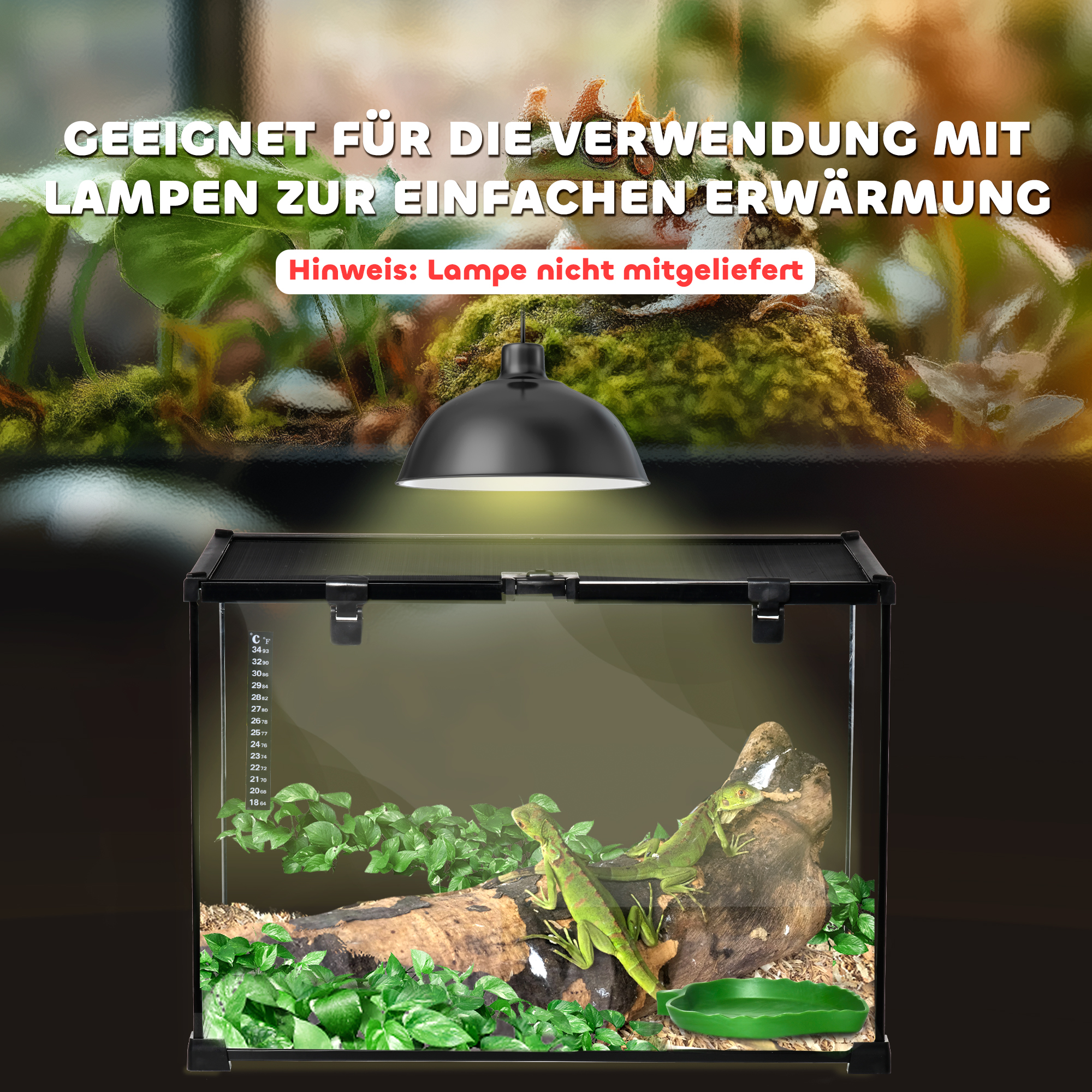 Terrarium für Reptilien Reptile Fütterungsbox Glasterrarium Amphibien Spinnentiere mit Thermometer Reptilienzuchtbox Metall Schwarz 50 x 30 x 35 cm