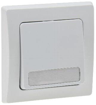 DELPHI Taster mit Namensschild, 0-250V~/ 10A, inkl. Rahmen, UP, weiß