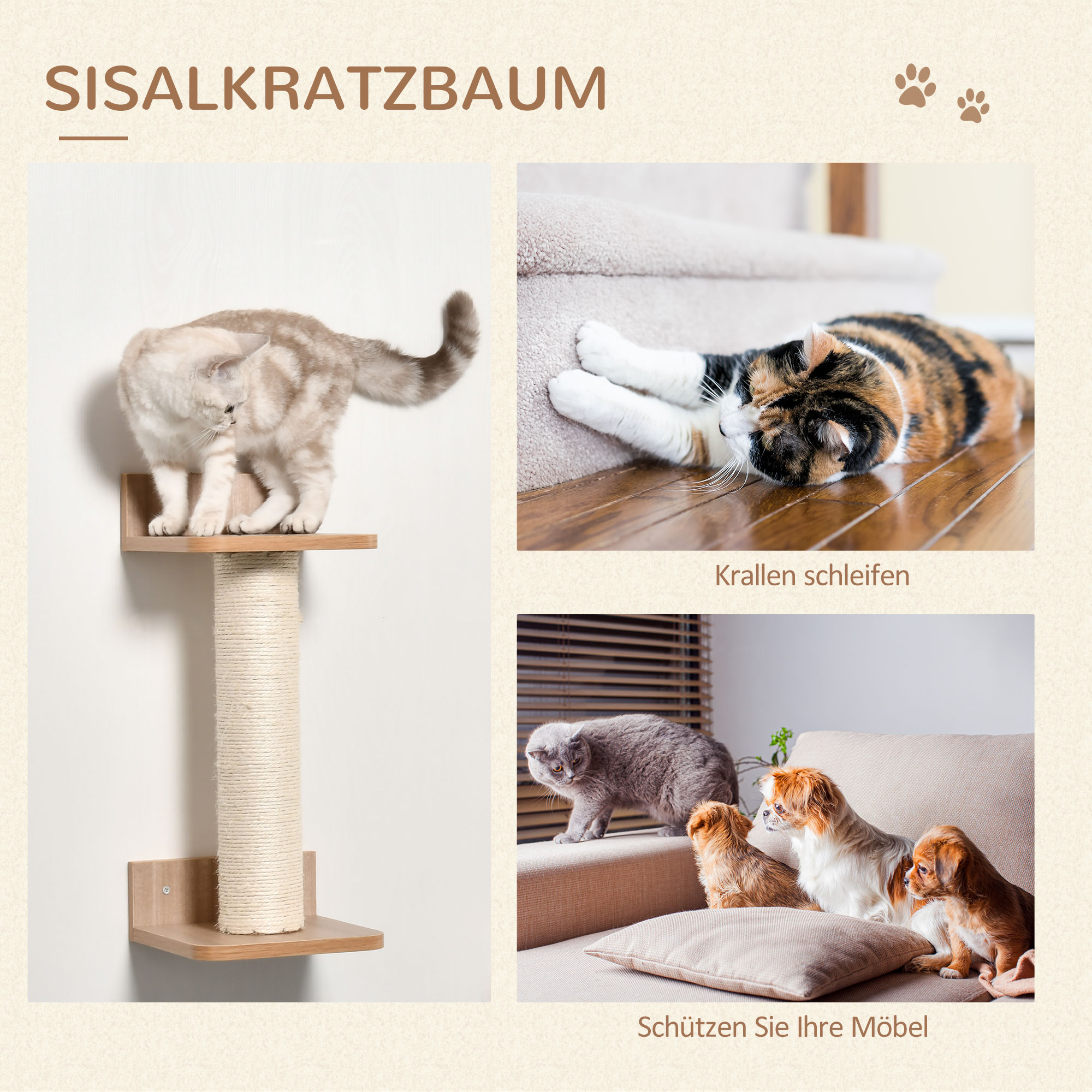 Kletterwand Katzen, 4-teilig Katzenkletterwand Set Katzen Wandelemente mit Kratzbaum Hängematte Sprungplattform Kratzsäule Katzentreppe Katzenwandmöbel für Klettern Schlafen bis 5 kg Hellbraun