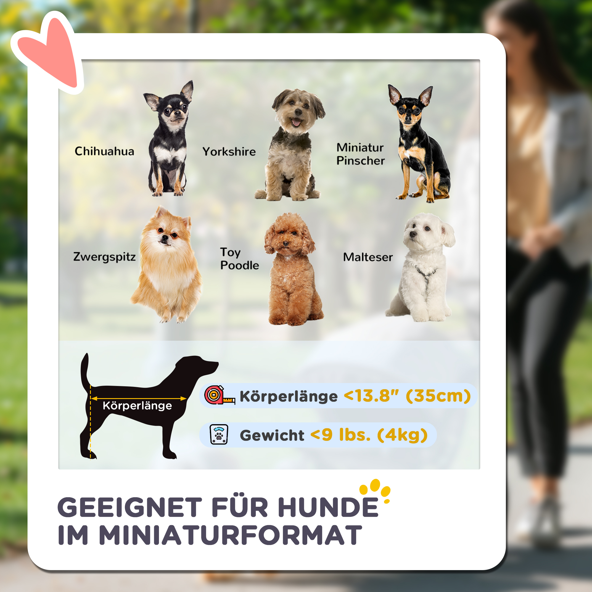 3-in-1-Haustierkinderwagen, zusammenklappbarer Hundewagen mit 4 Rädern und abnehmbarer Trage für Hunde und Katzen Türkis