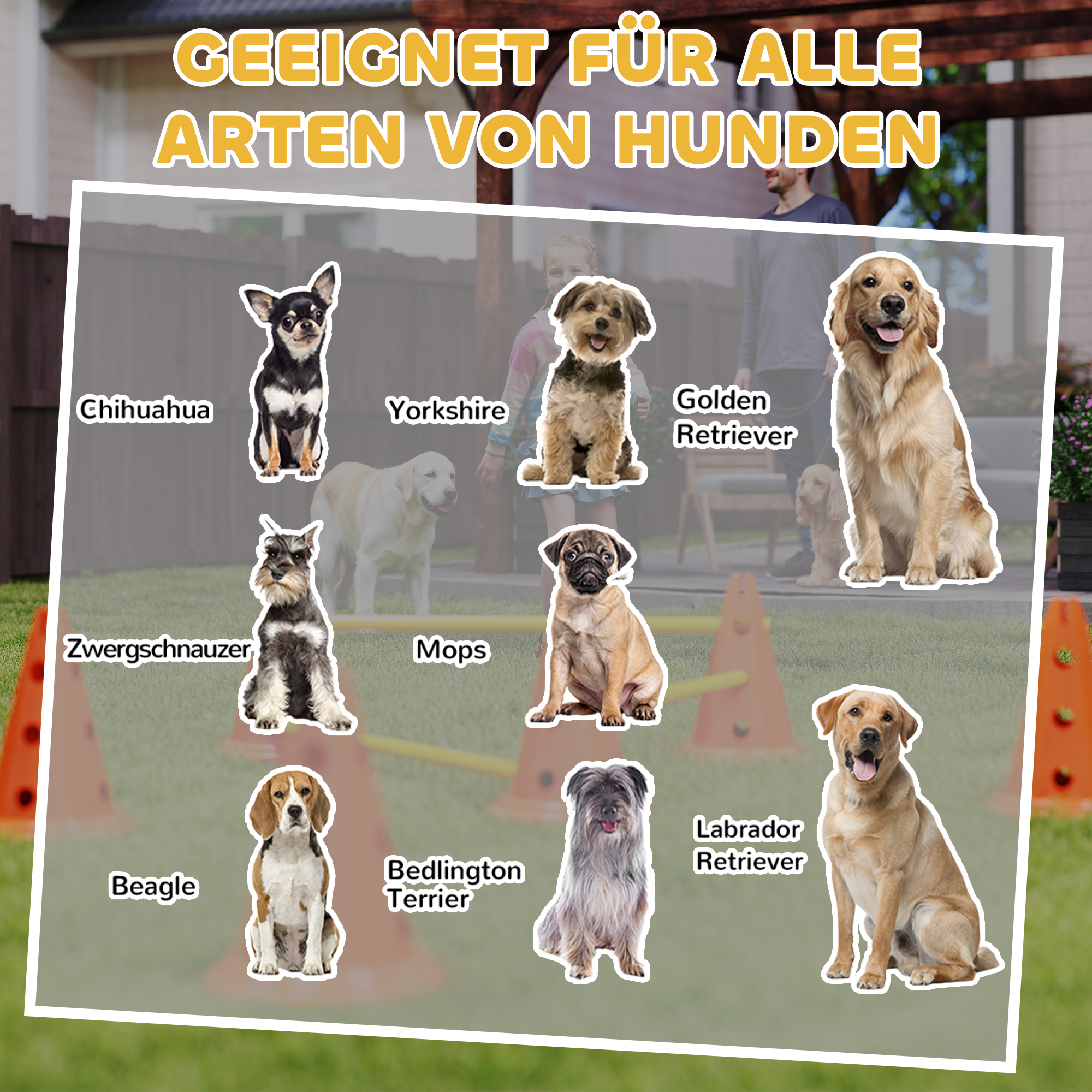 Agility Set Hunde 6-teiliges Agility-Ausrüstung für Hundetraining Steckhürdenset mit 12 Kegel 6 Hürden Tragetasche