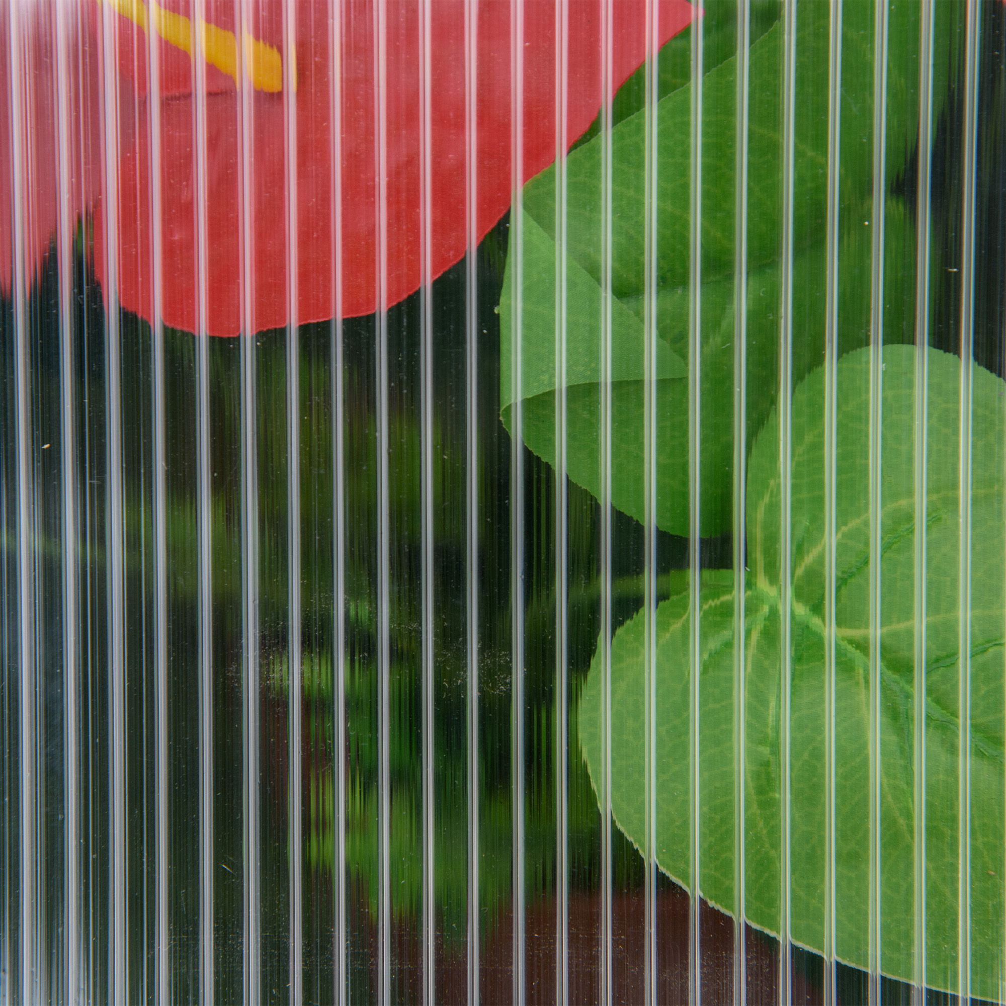 Mini-Gewächshaus, Kompaktes Pflanzenhaus aus Holz, Polycarbonat-Platten, Belüftungsöffnung, 90L x 52B x 49,5H cm, Grau