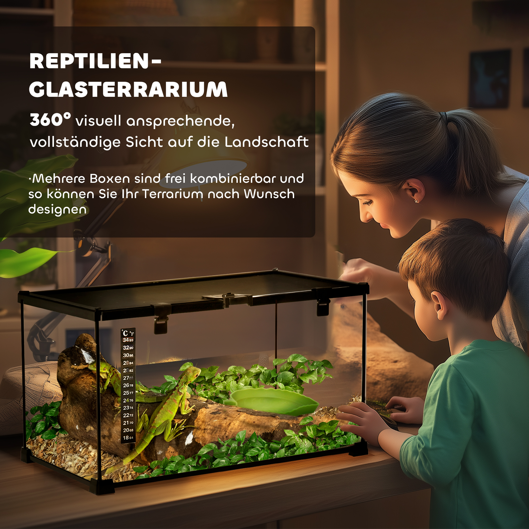 Reptilienbox Terrarium, inkl, Streifenthermometer, Fütterungsklappen, 50 cm x 30 cm x 25 cm, Glas + Metall, Schwarz