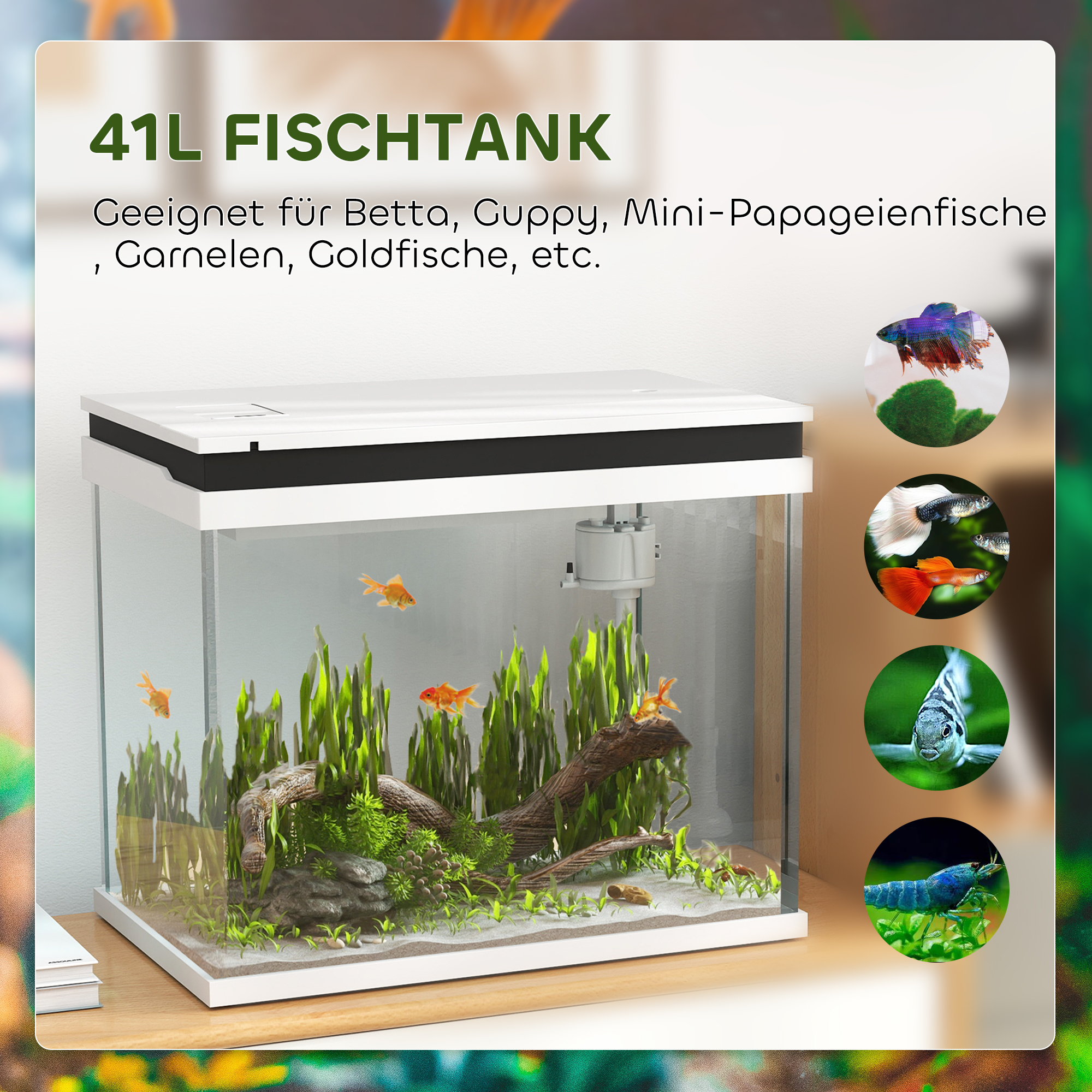 41 Liter Glas-Aquarium mit Filtersystem, LED-Lichtern, Wasserpumpe, für verschiedene Fischarten, Weiß