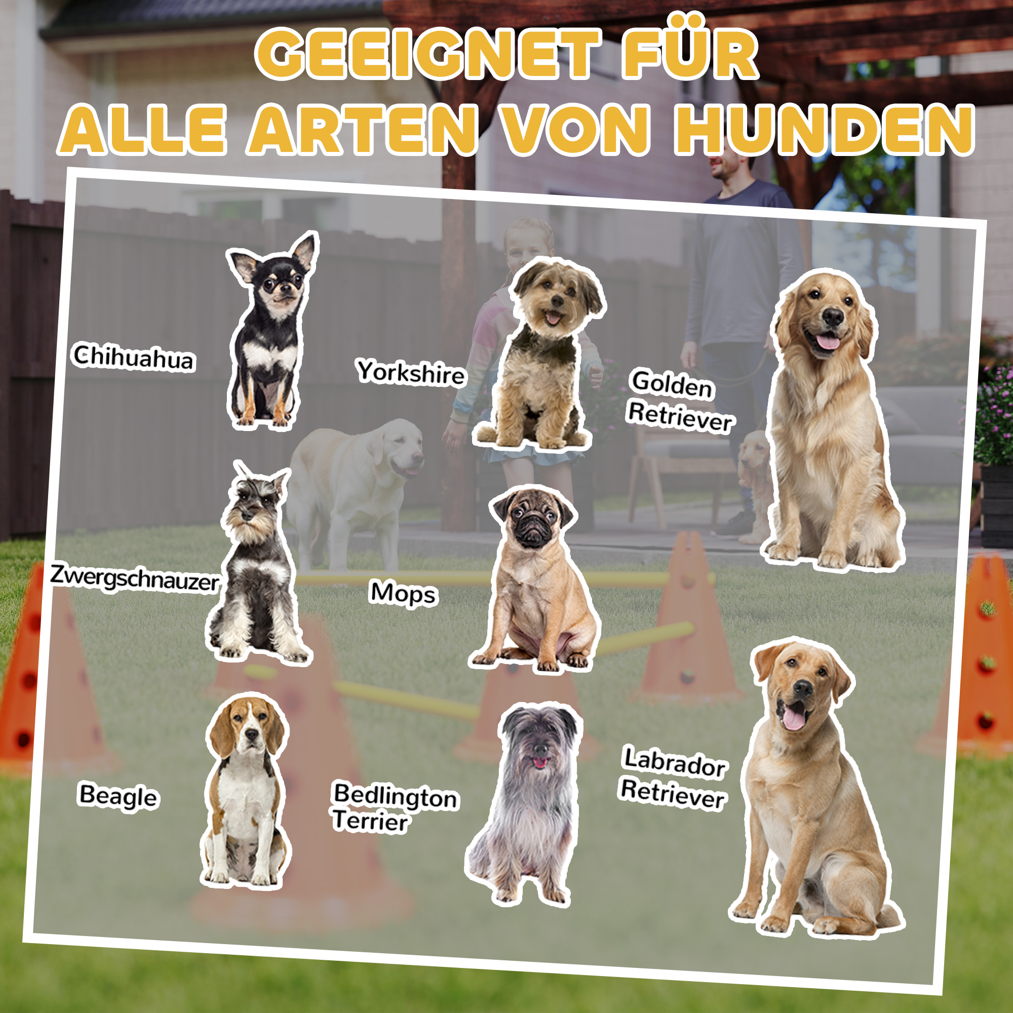 Agility Set Hunde 3-teiliges Agility-Ausrüstung für Hundetraining Steckhürdenset mit 6 Kegel 3 Hürden Tragetasche