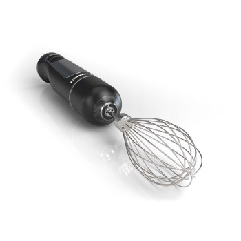 Stabmixer-Set | 600 W | 2 Geschwindigkeiten | Variable Geschwindigkeitseinstellung | Mini-Zerkleinerer | Schneebesen | Edelstahlschaft und -klingen | Edelstahl / schwarz