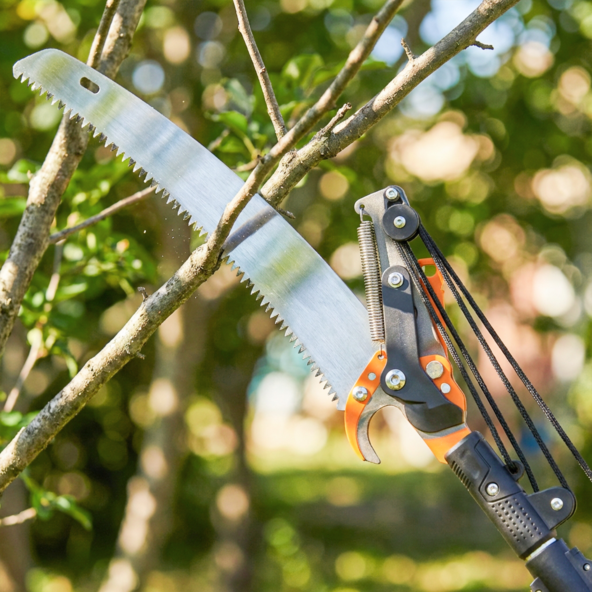 2-in-1 Astsäge mit integrierter Astschere Baumsäge mit Teleskopstiel 135/172/199 cm für hohe Äste Orange