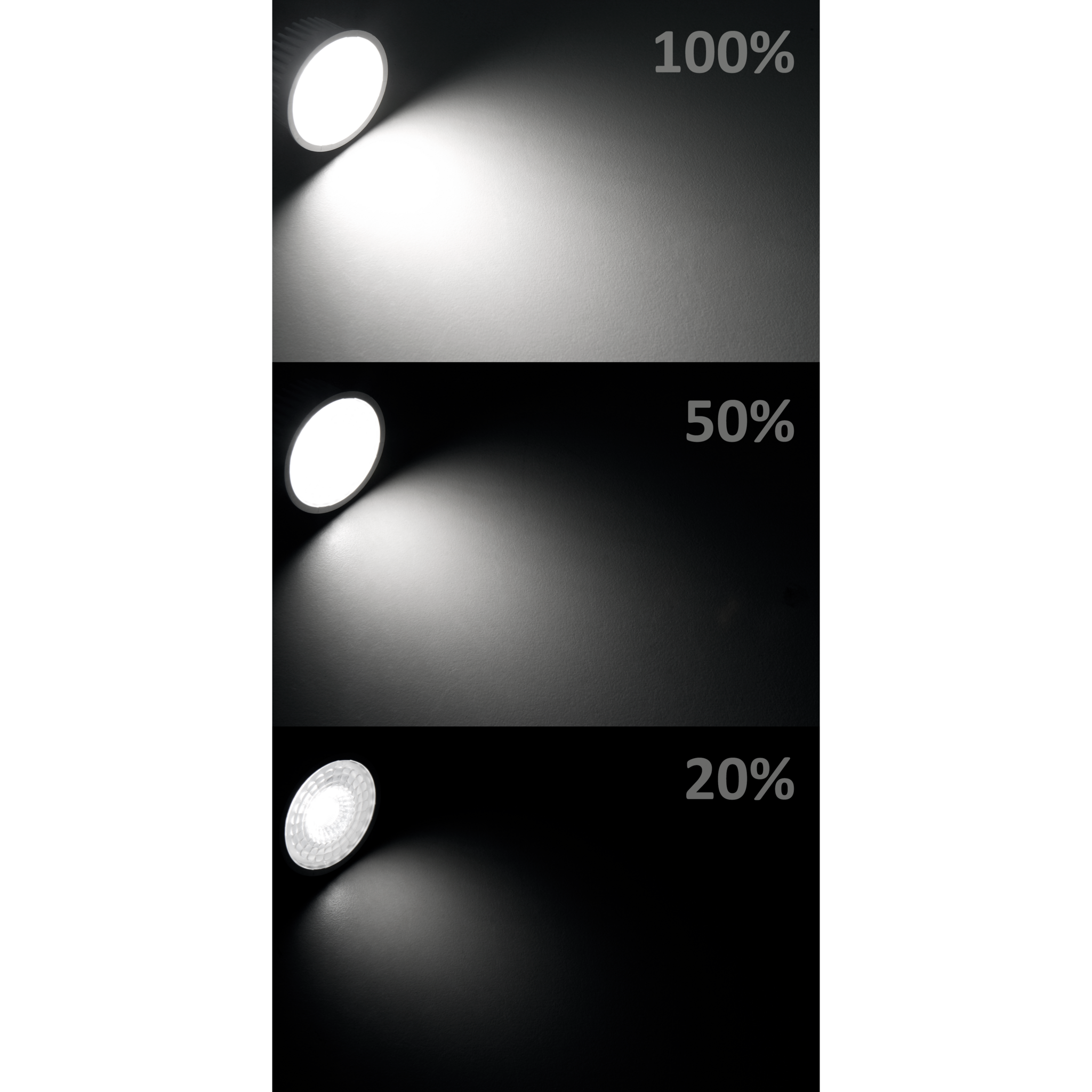 LED-Modul McShine ''MCOB'' 5W, 400lm, 230V, 50x25mm, neutralweiß, step-dimmbar
