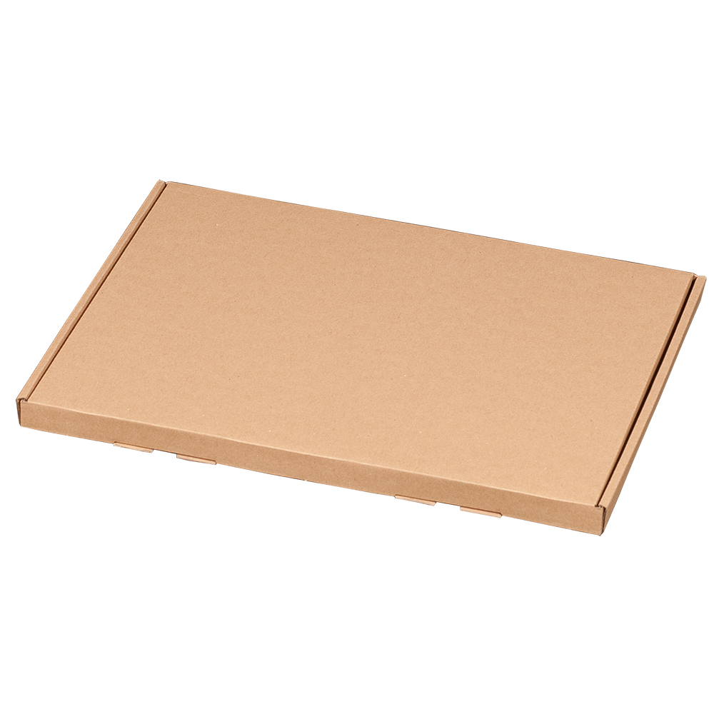 Großbriefkarton, A4, 345x245x17mm, braun, VPE100