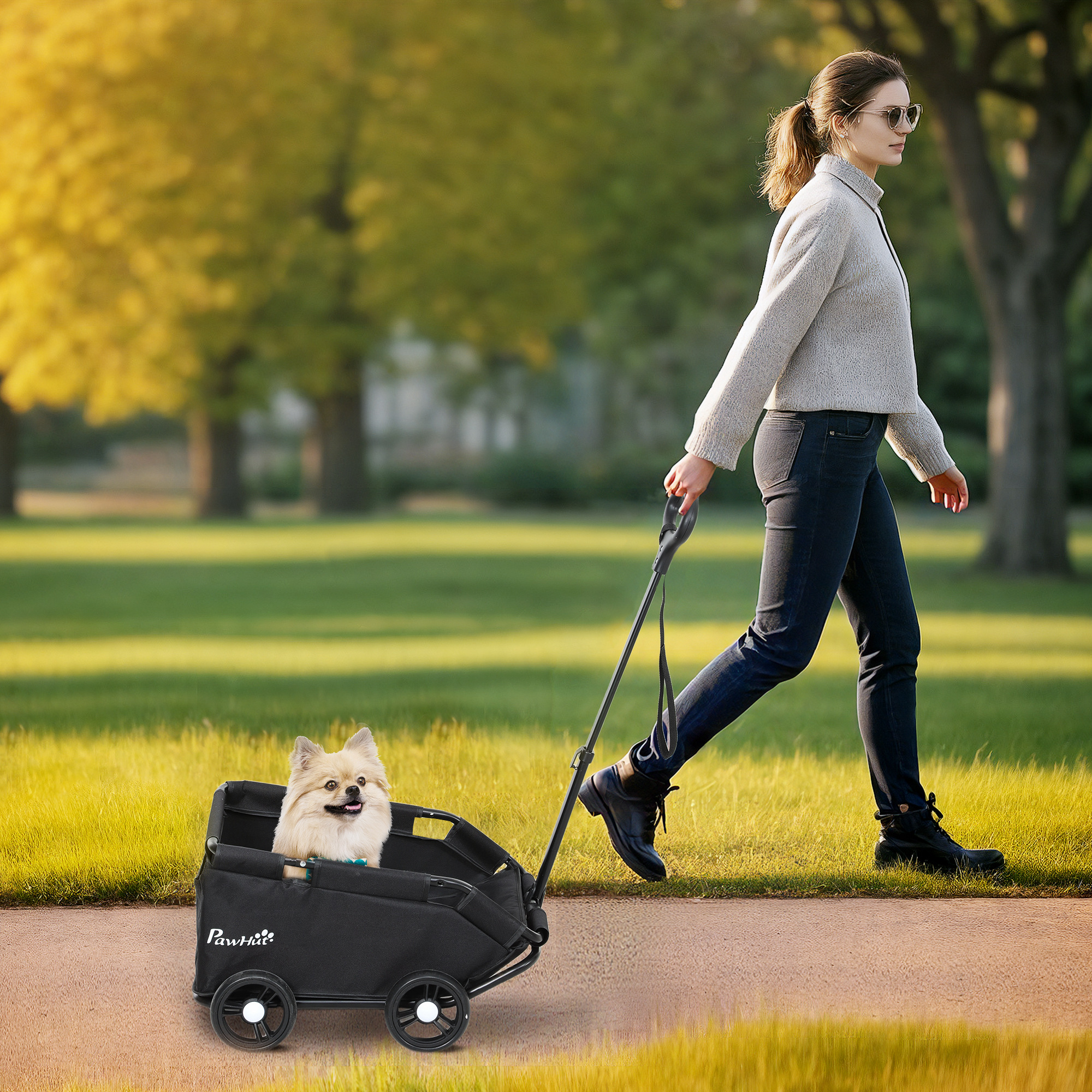 Hundewagen, klappbarer Hundebuggy für Zwergenhunde bis zu 4 kg, zusammenklappbarer Katzenbuggy mit Griffstange, waschbarem Kissen, Sicherheitsleinen, Aufbewahrungstasche, 4 Räder, Schwarz