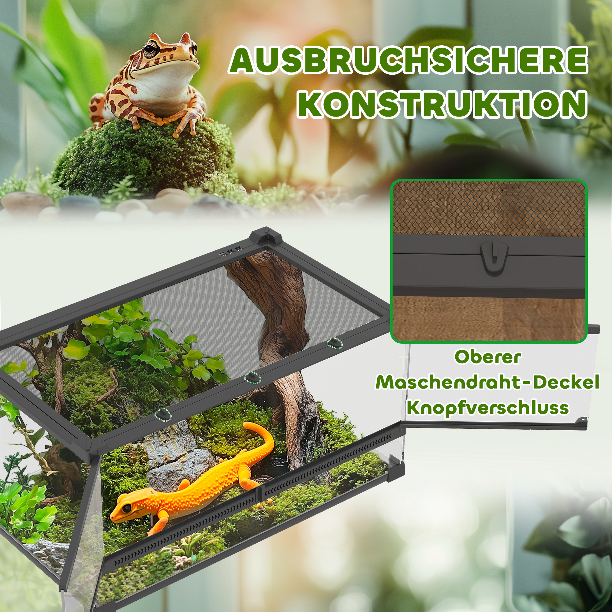Glas-Terrarium für Reptilien, erhöhter & wasserdichter Boden, Knopfschloss