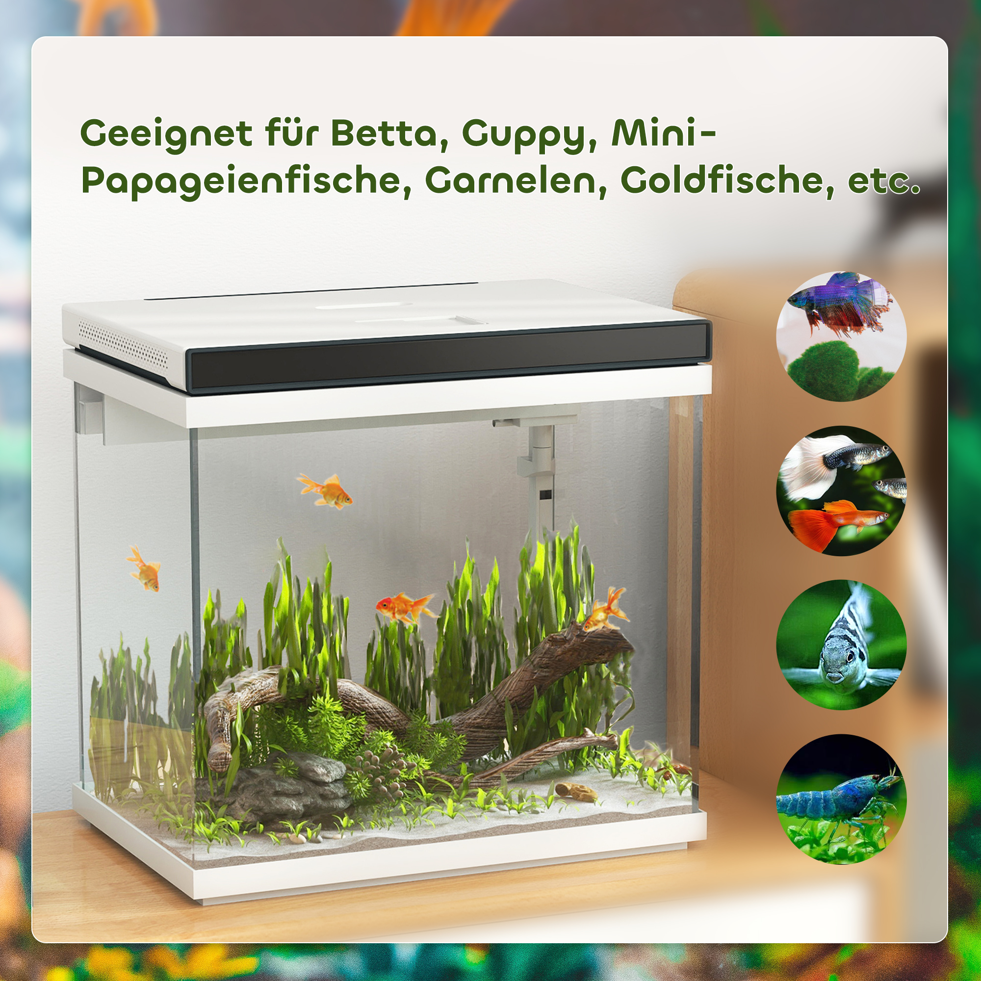 26 Liter Aquarium mit Filter, LED-Beleuchtung, Wasserpumpe, für verschiedene Fischarten, ca. 38 x 26 x 38 cm
