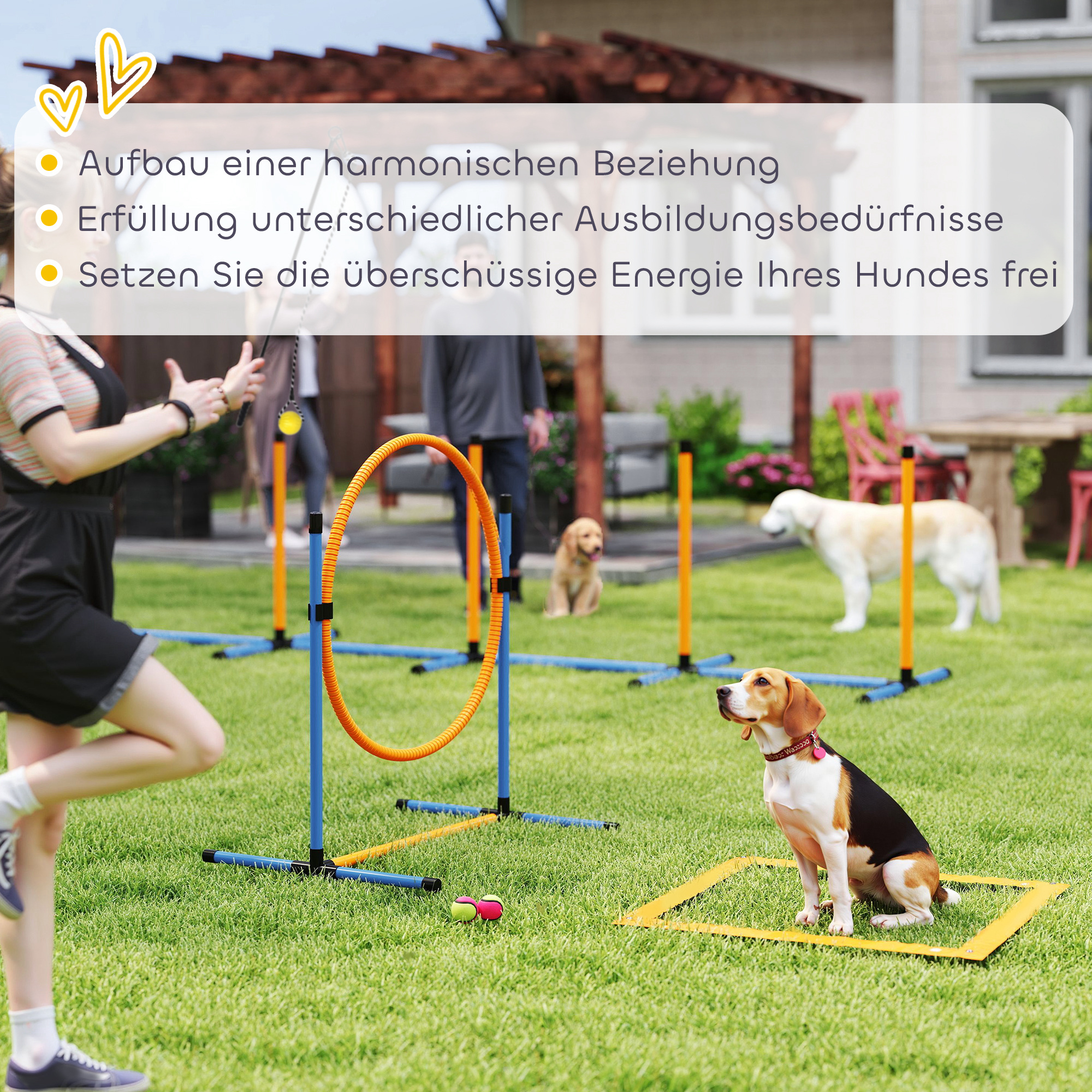 Agility Set Hunde 7-teilig Agility-Ausrüstung für Hundetraining Steckhürdenset für Spiele Training