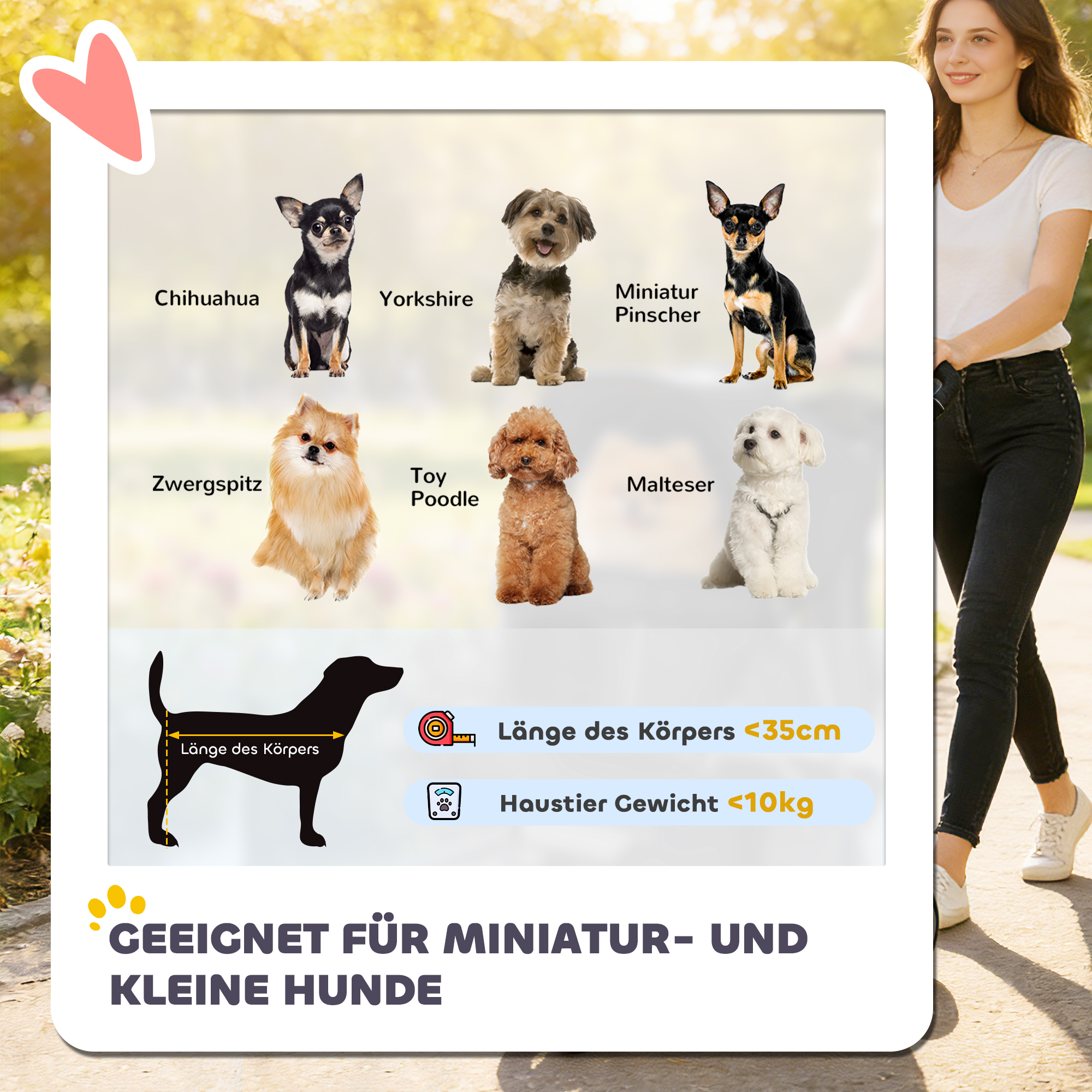 Hundewagen Faltbar Hundebuggy mit Aufbewahrungskorb Kissen Netzfenster Getränkehalter für kleine Hunde bis 10kg Schwarz