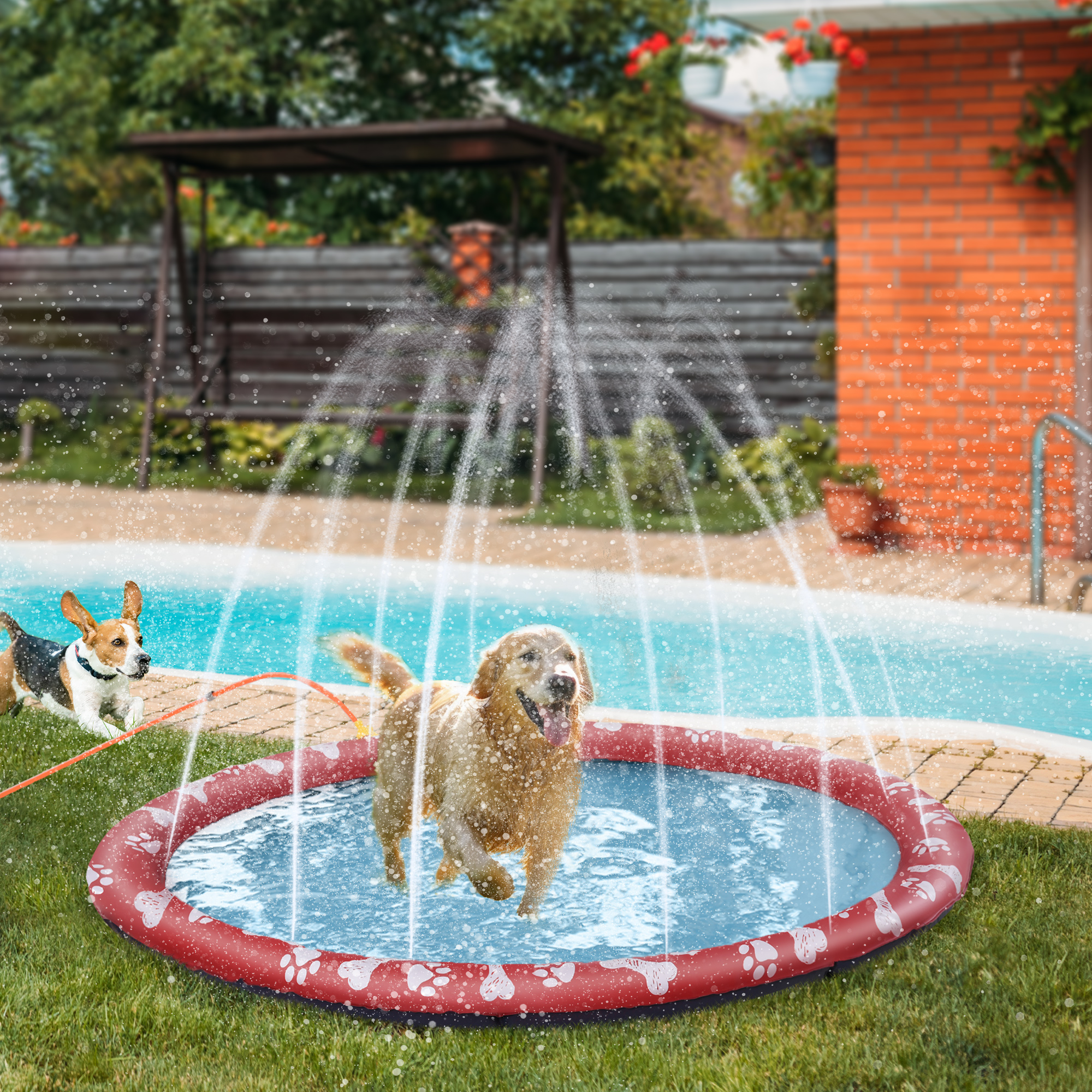 Hundepool, Wasser-Spielpool, rutschfest, robust, tierfreundlich, Ø170 cm, Rot