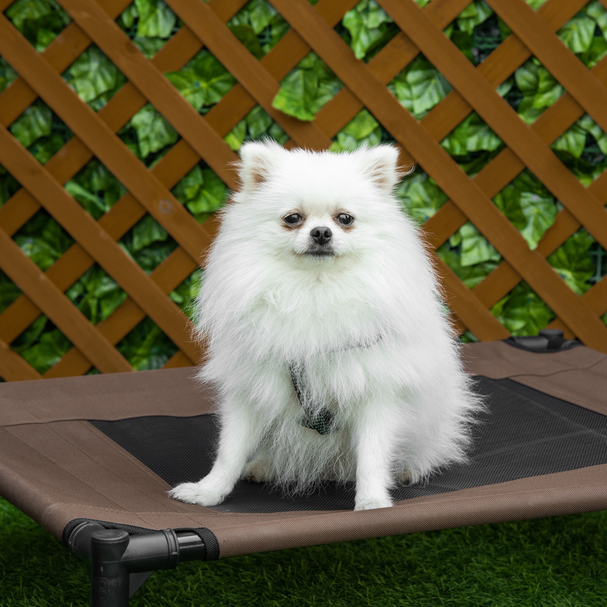 pawhut-hundebett-76-cm-x-61-cm-x-18-cm~D04-211