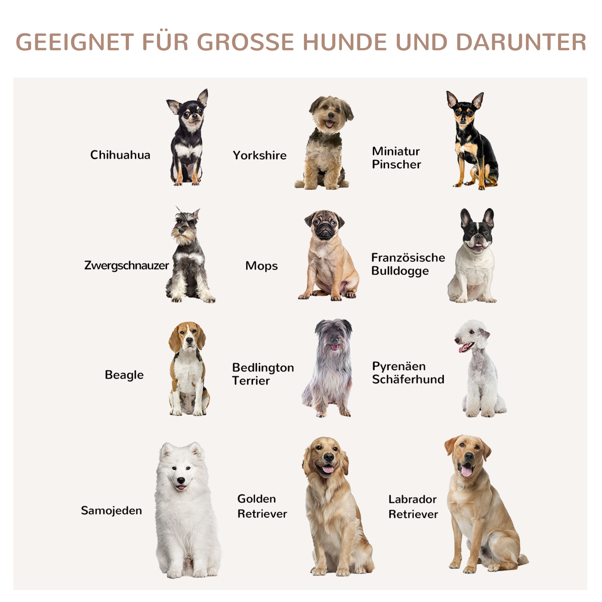 Hundebox, Hundekäfig, 1 Tür, für kleine und mittelgroße Hunde