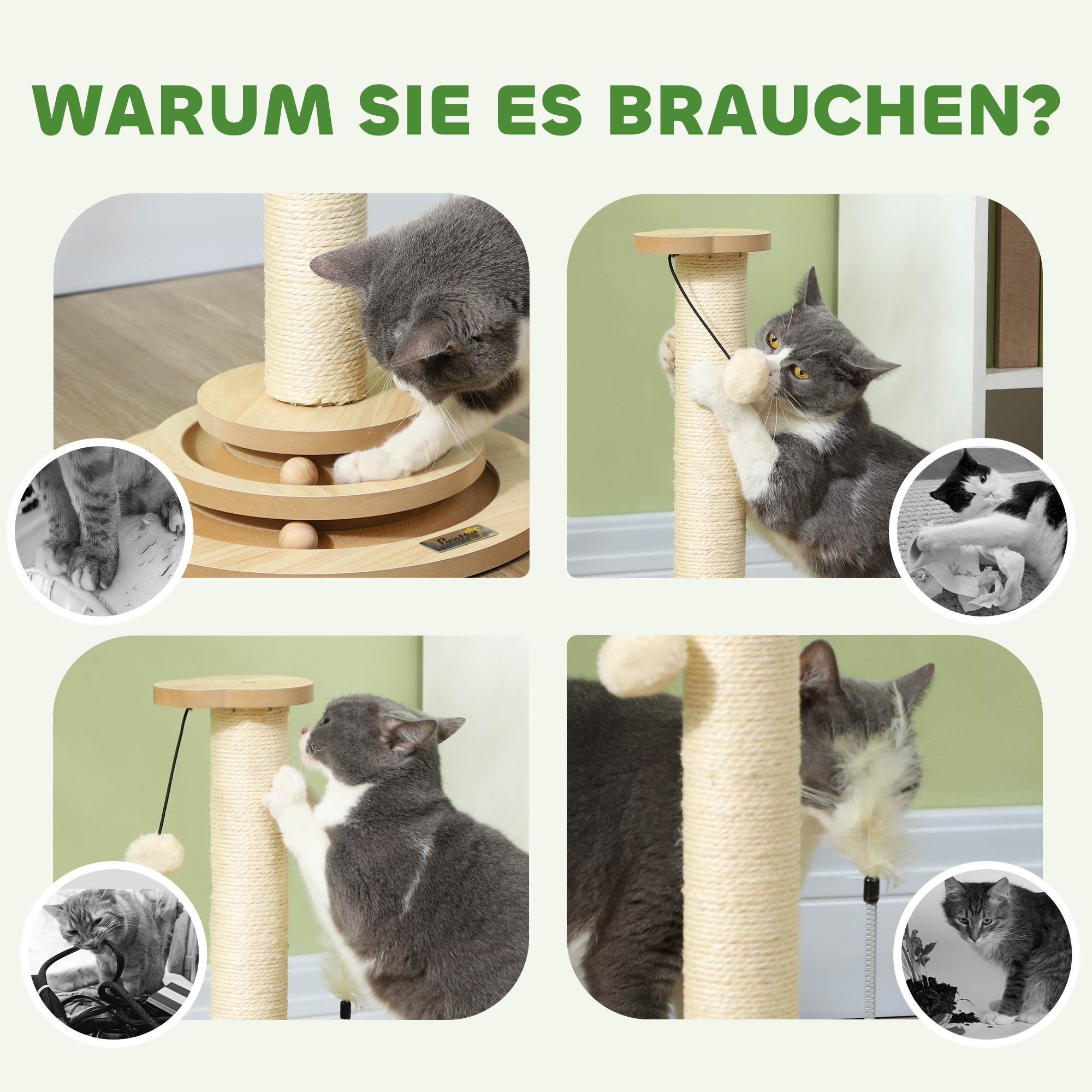 Katzen-Kratzbaum, 49 cm, Sisal-Kratzpfosten, Kugelbahn, Spielball, Spielfeder, 4-in-1-Design, Eiche, Weiß