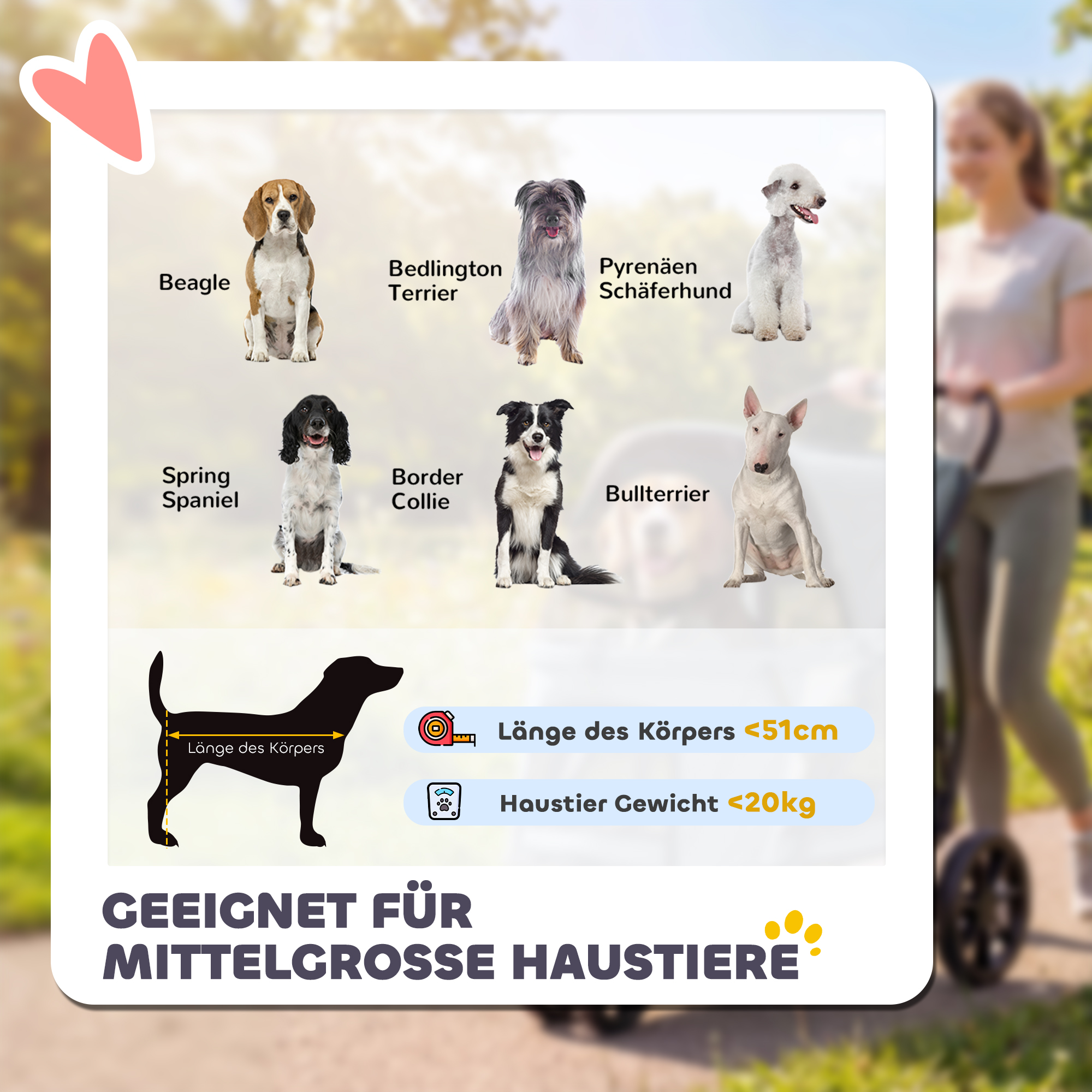 Hundewagen Faltbar Hundebuggy mit waschbarem Kissen, Netzfenstern, 3 Räder, für mittelgroße Hunde bis 20 kg, Grau