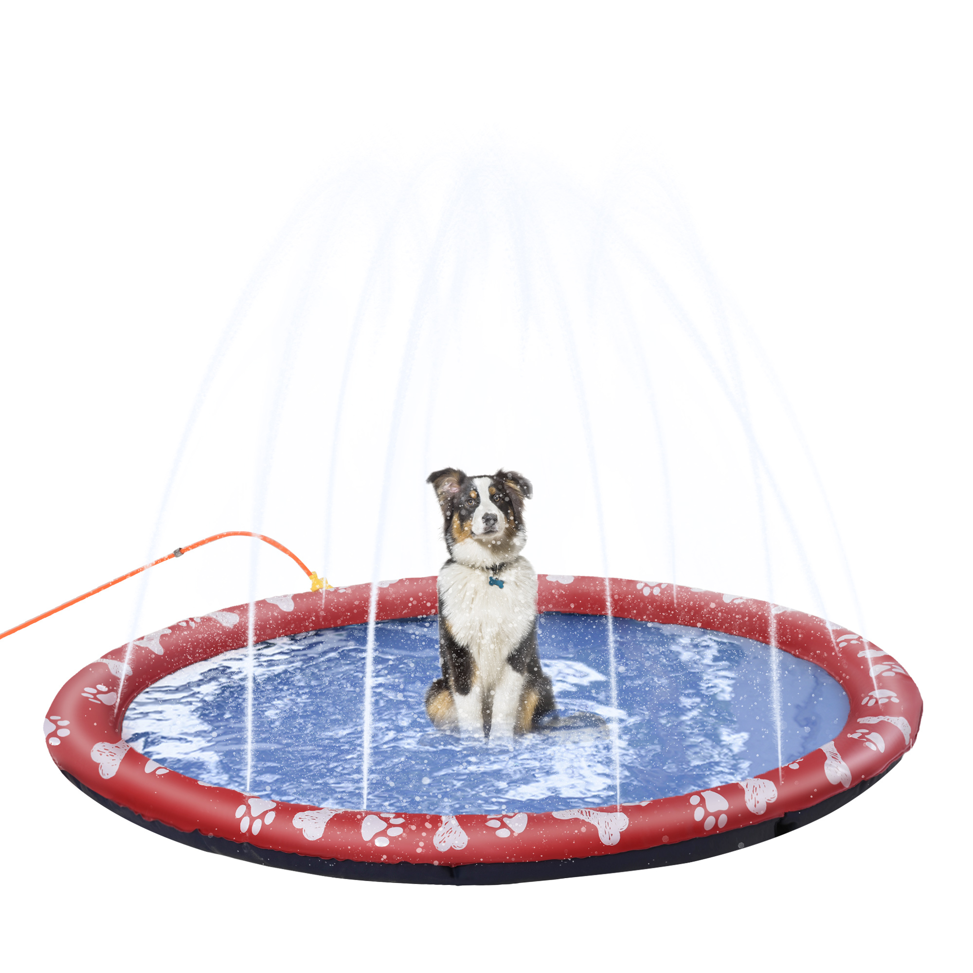 Hundepool, Wasser-Spielpool, rutschfest, robust, tierfreundlich, Ø170 cm, Rot