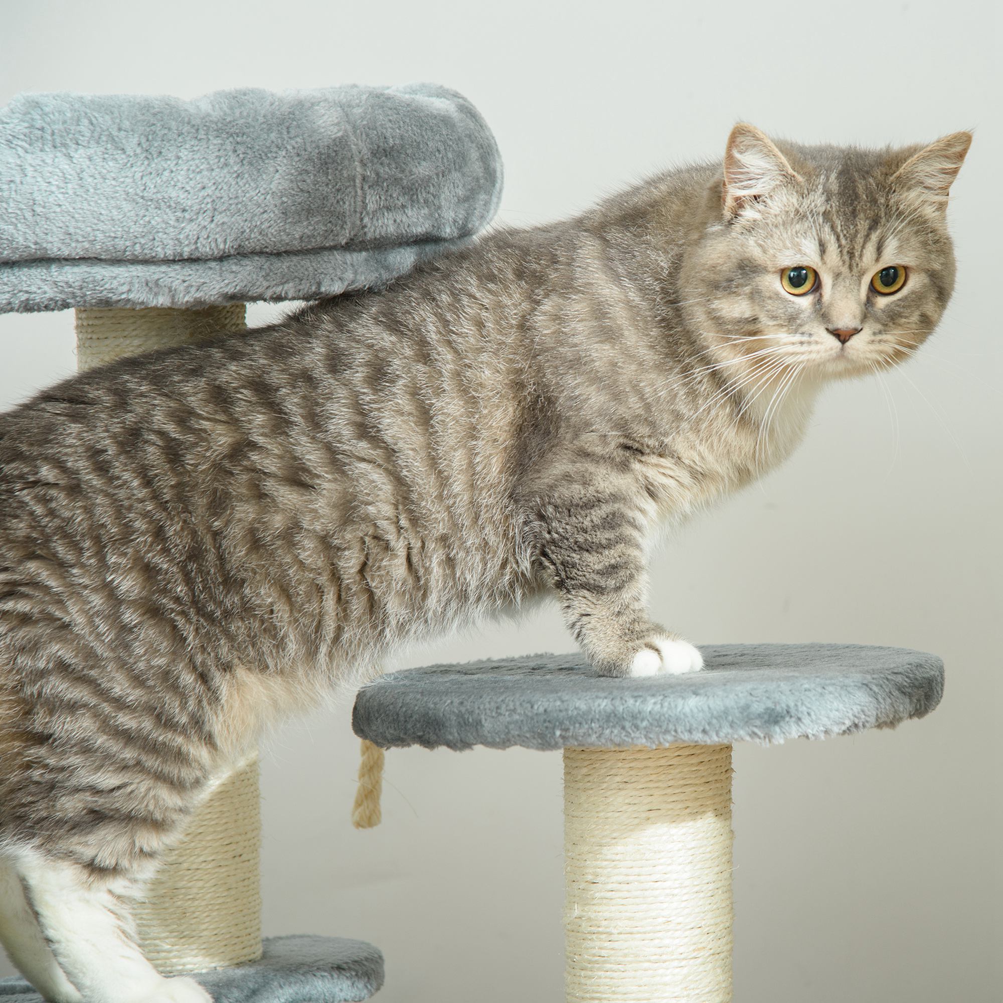 Katzenbaum Kletterbaum mit Hängematte, 3-Stufiger Spielbaum mit Katzenbett Katzenkratzbaum mit Sitzplattform, Sisalsäulen, Grau Ø40 x H65 cm