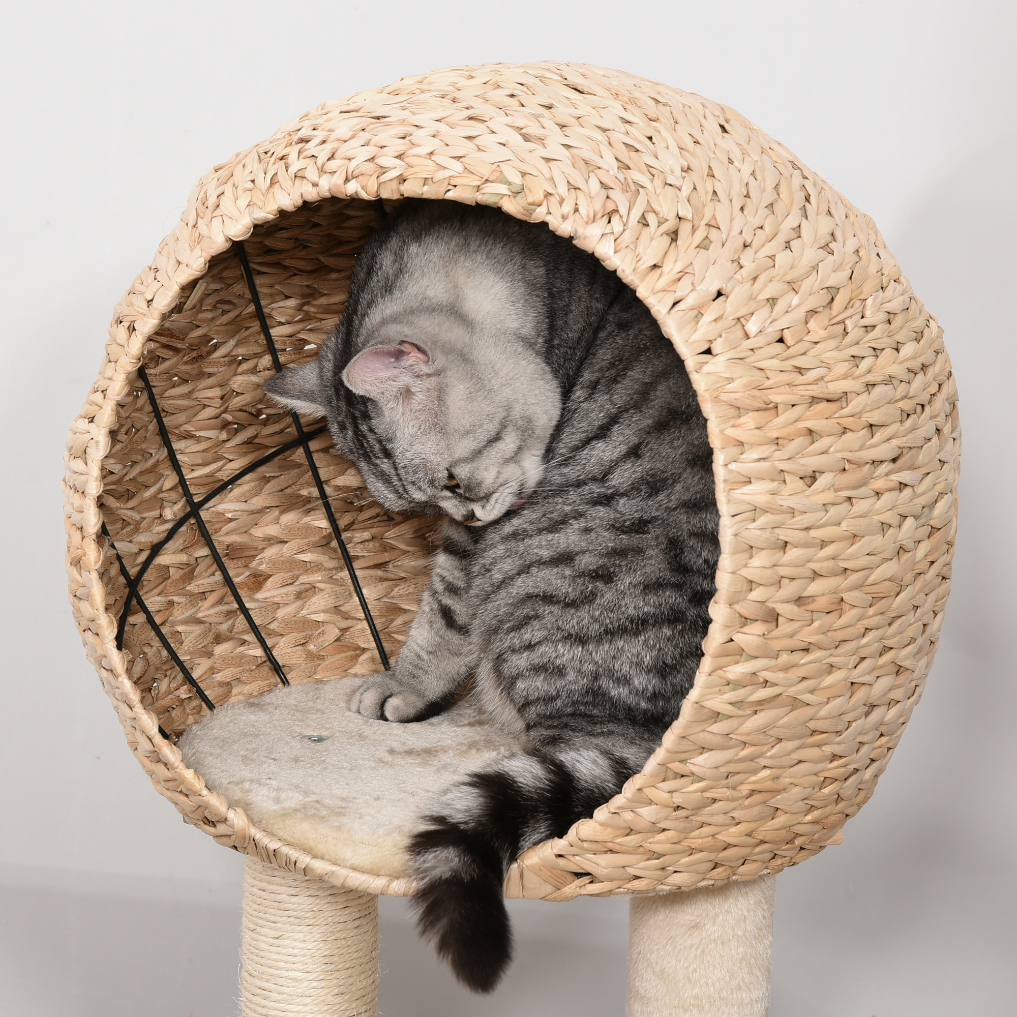 Kratzbaum 100 cm Katzenturm mit Höhle, Spielball, Sisalstämme, Plattform, mehrstöckiger Katzenkratzbaum, Kletterbaum, für mittelgroße Katzen, Beige